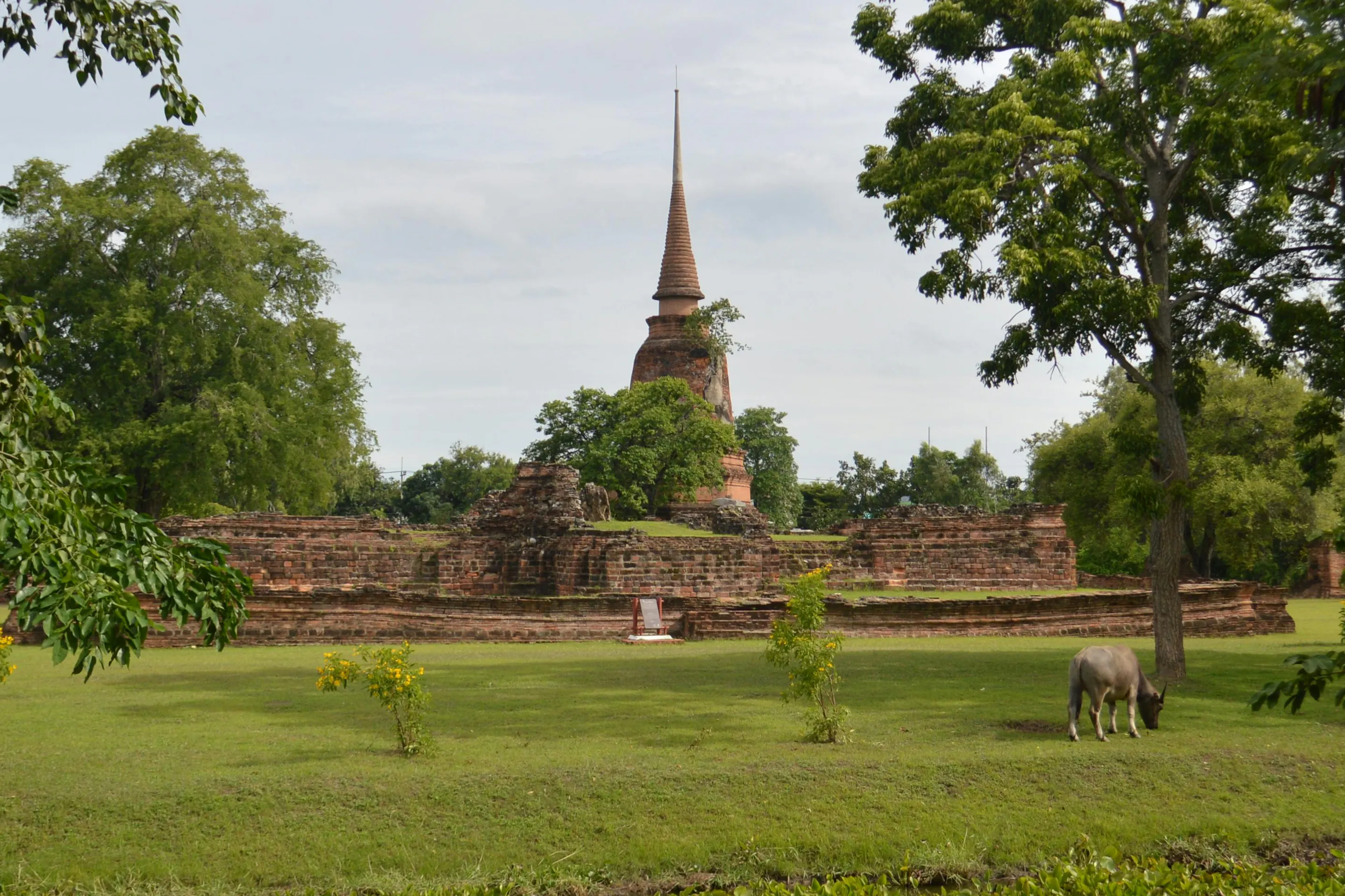 Ancient stone temple ruins and Buddha statues sit among green grass and trees in Sukhothai.