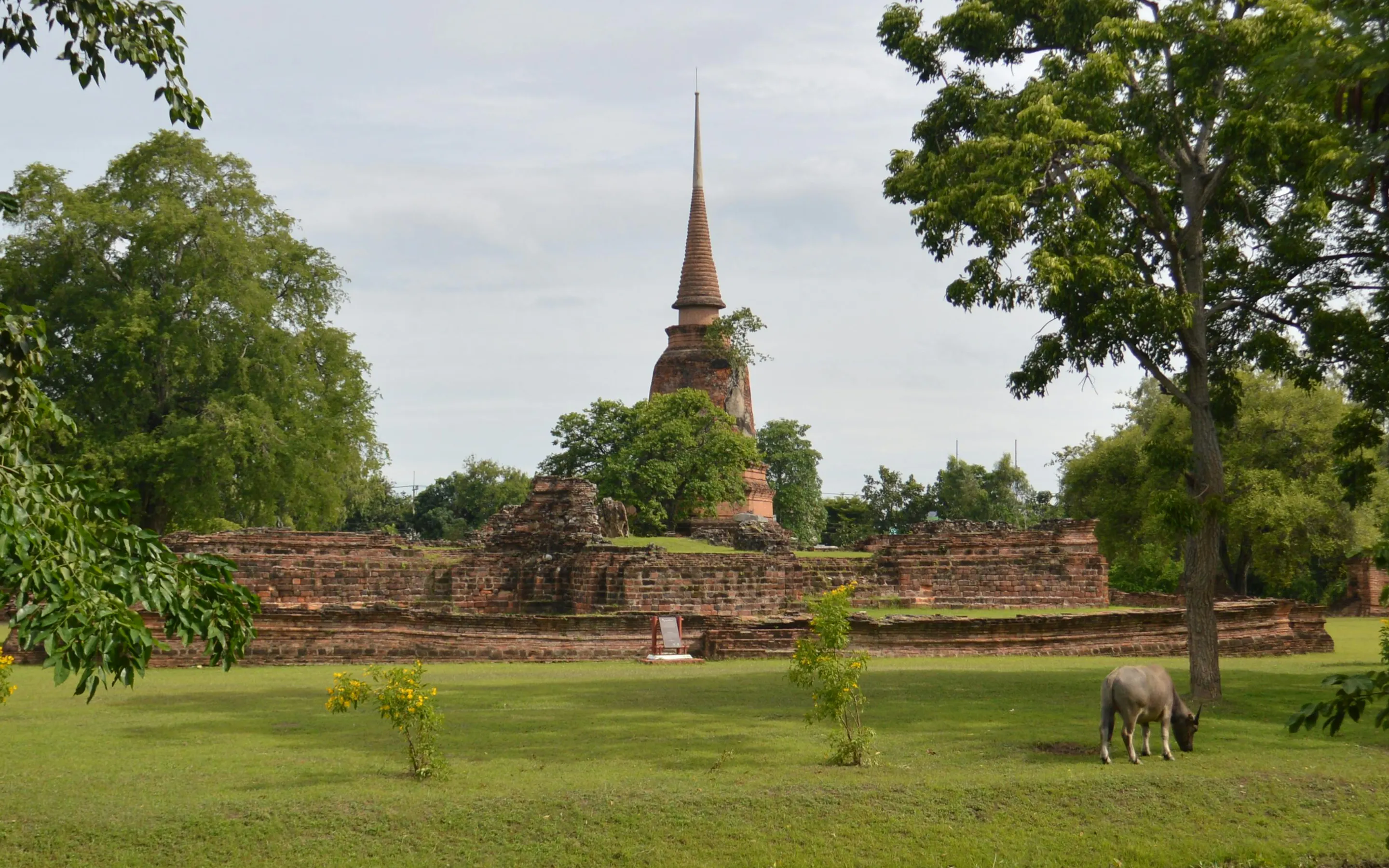 Ancient stone temple ruins and Buddha statues sit among green grass and trees in Sukhothai.