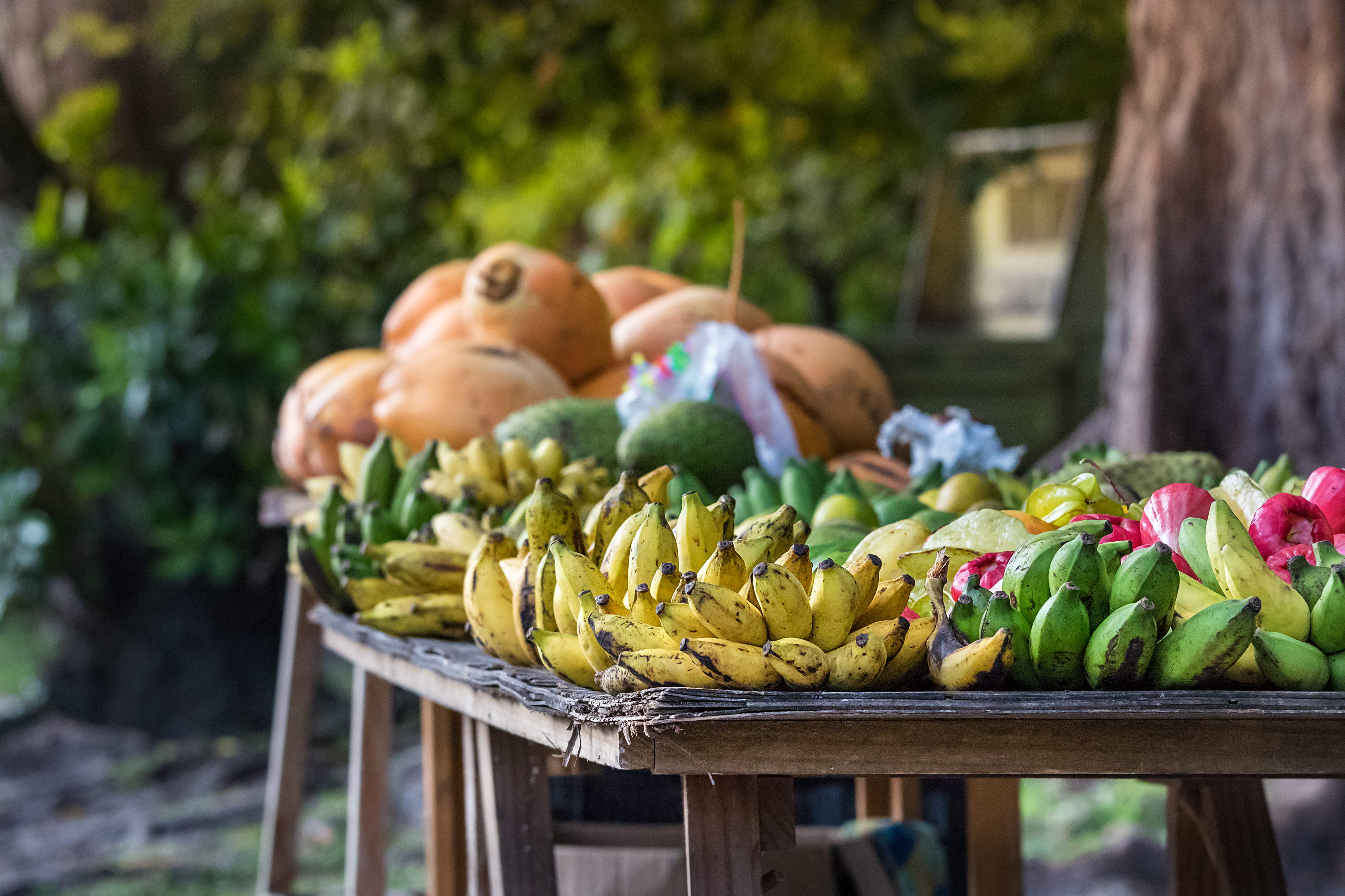 A colorful outdoor market stall displays bananas, mangoes, and other tropical fruit.