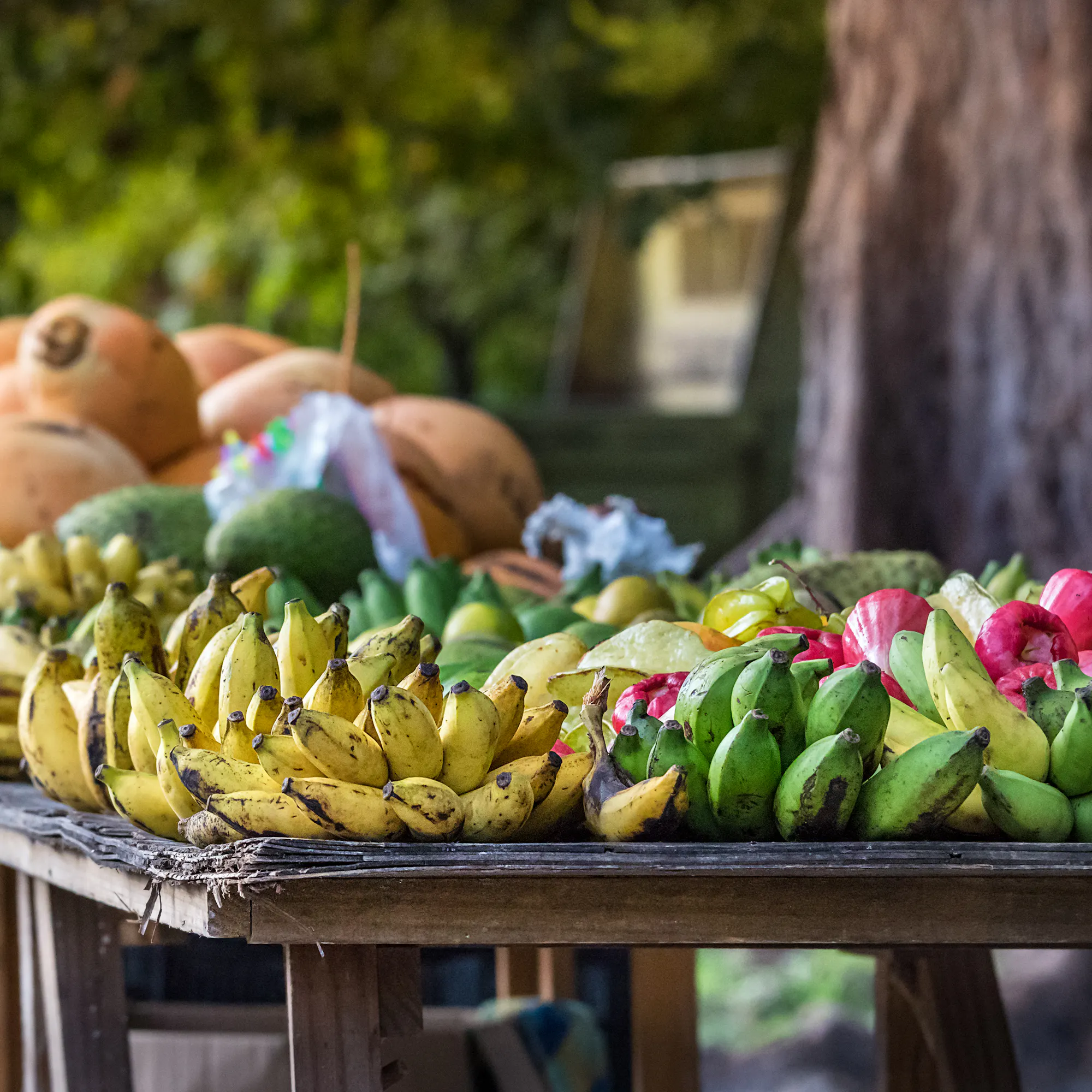 A colorful outdoor market stall displays bananas, mangoes, and other tropical fruit.