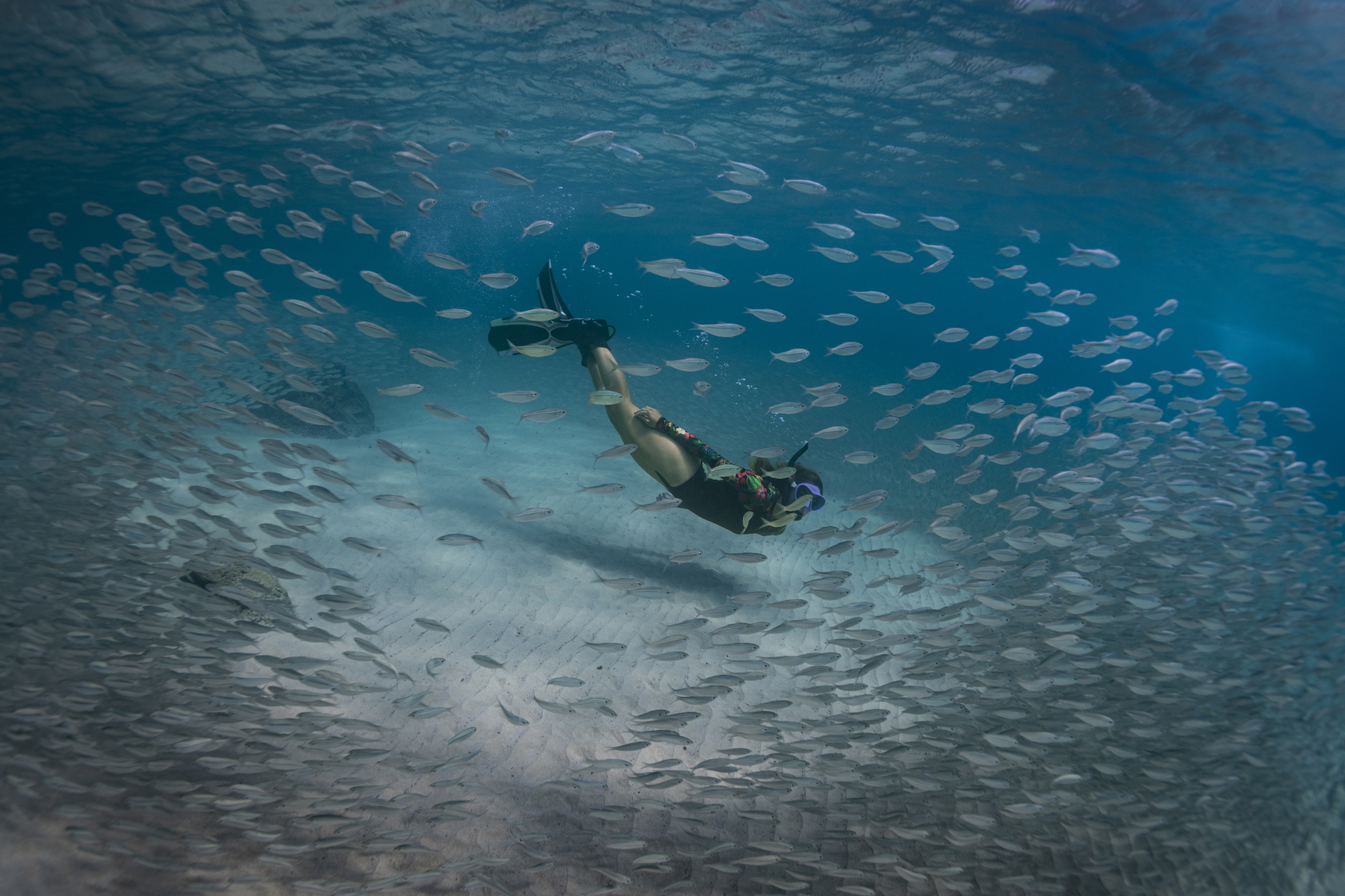 A diver swims through a large school of silver fish in clear, sunlit blue ocean water.