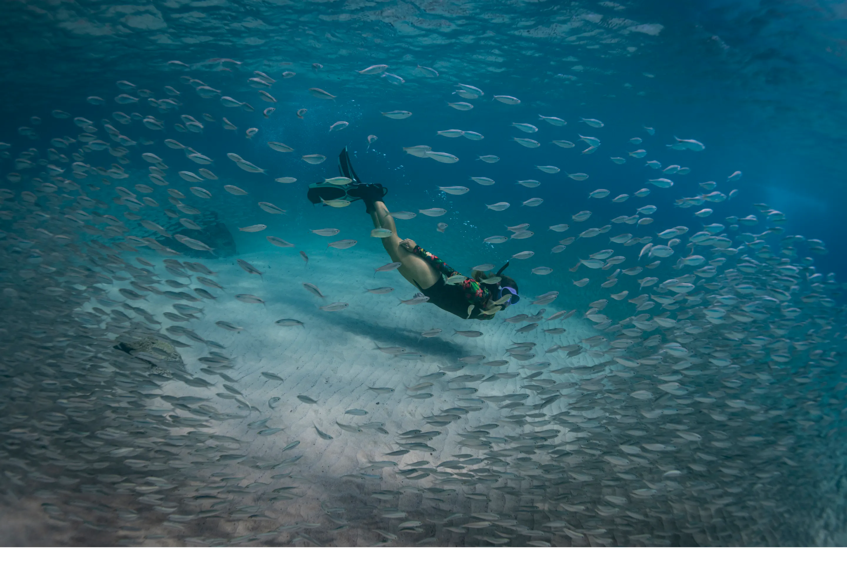 A diver swims through a large school of silver fish in clear, sunlit blue ocean water.