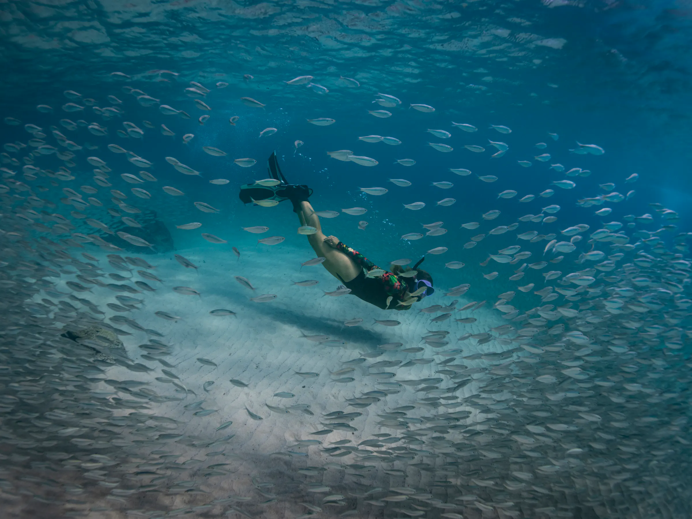 A diver swims through a large school of silver fish in clear, sunlit blue ocean water.