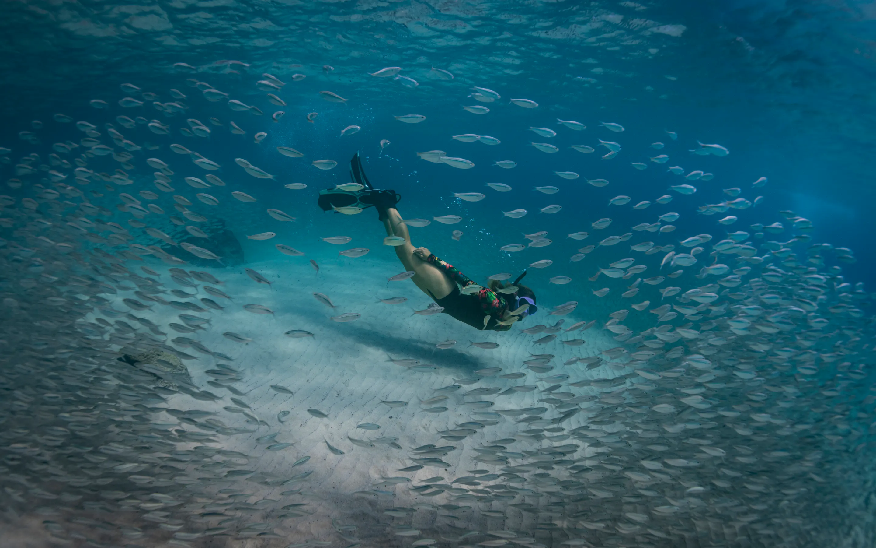A diver swims through a large school of silver fish in clear, sunlit blue ocean water.