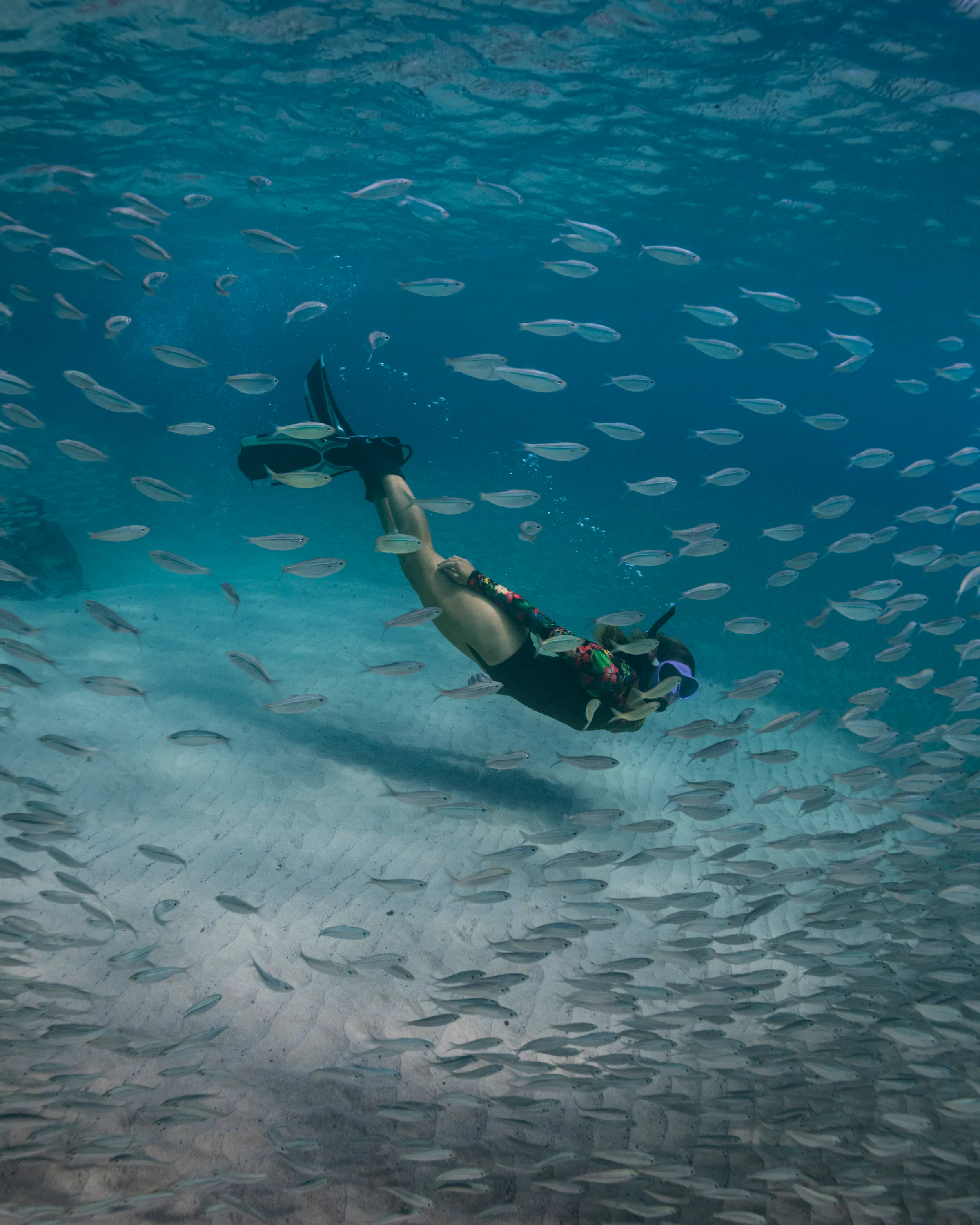 A diver swims through a large school of silver fish in clear, sunlit blue ocean water.