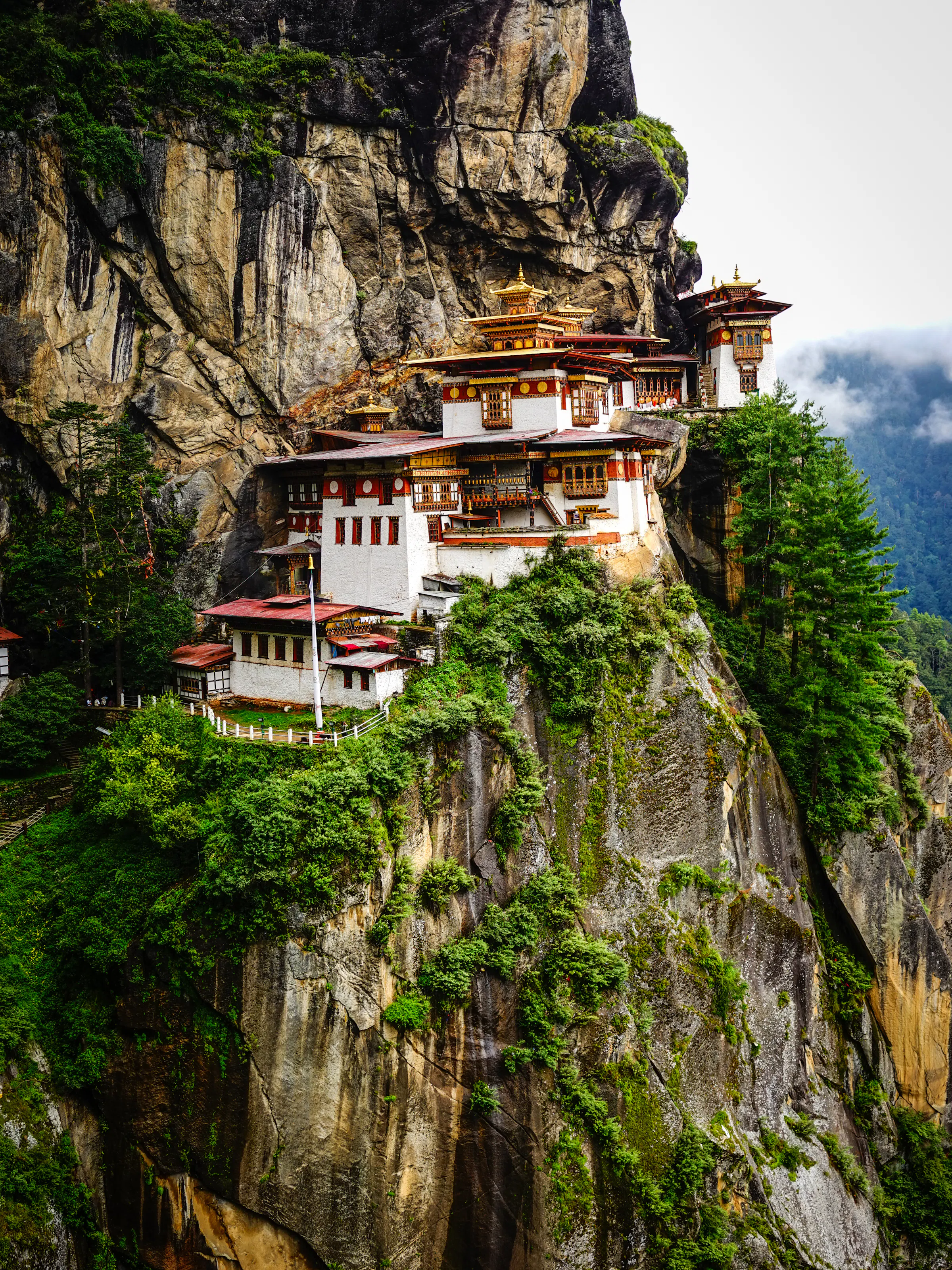 The Tiger's Nest monastery clings to a sheer cliff face above a dense pine forest in Paro.
