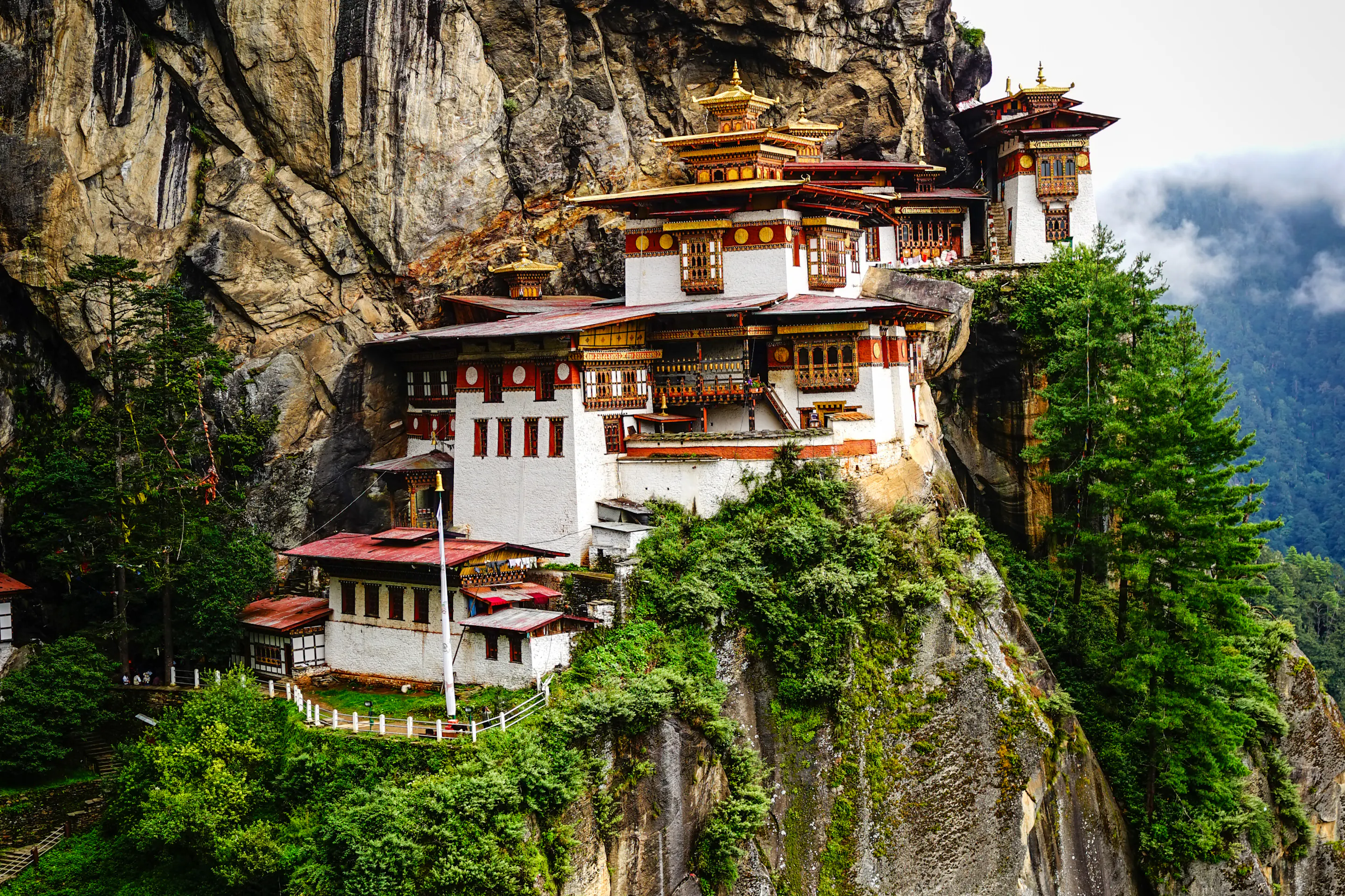 The Tiger's Nest monastery clings to a sheer cliff face above a dense pine forest in Paro.