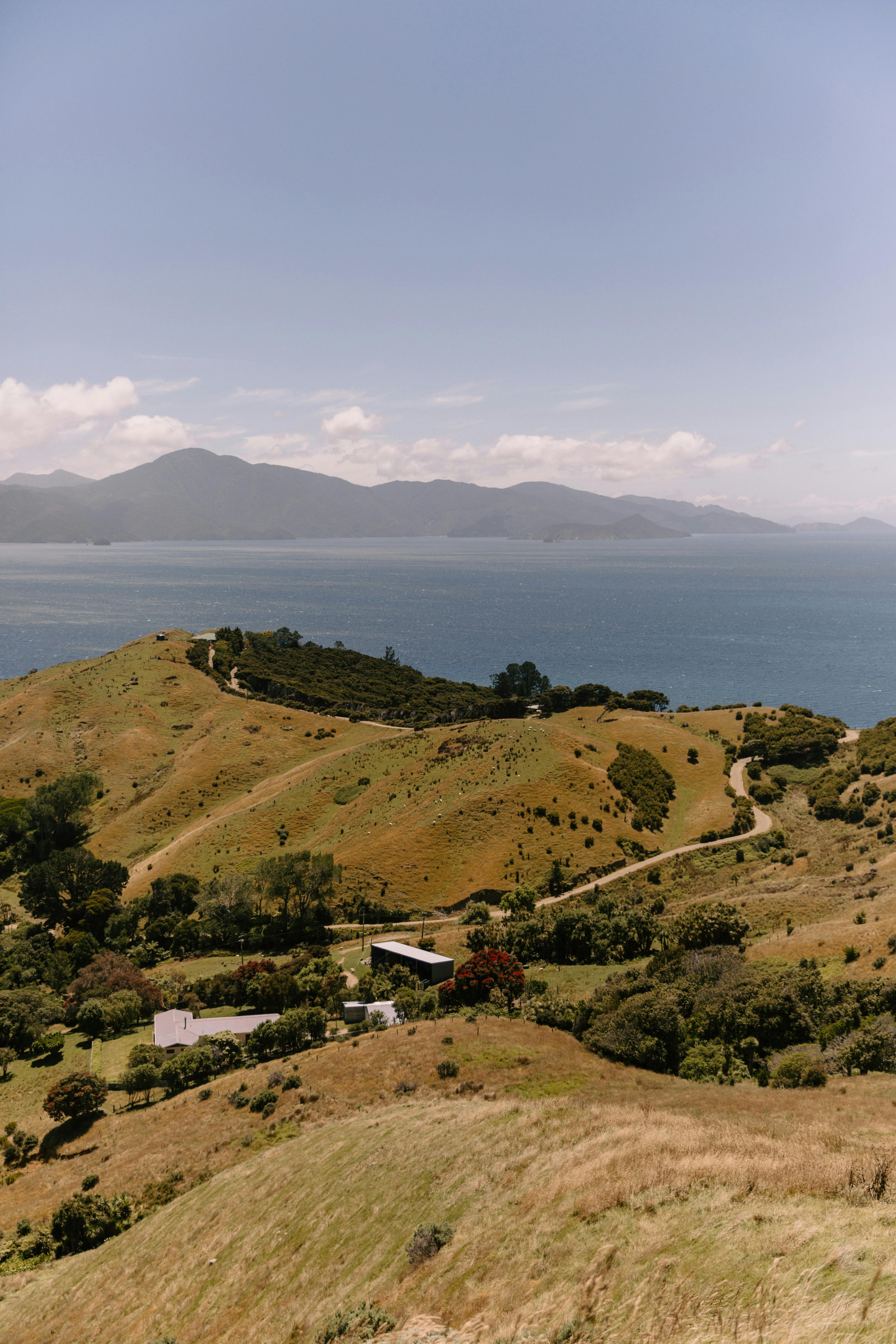 A winding rural road passes through golden meadows with green forested hills in New Zealand.