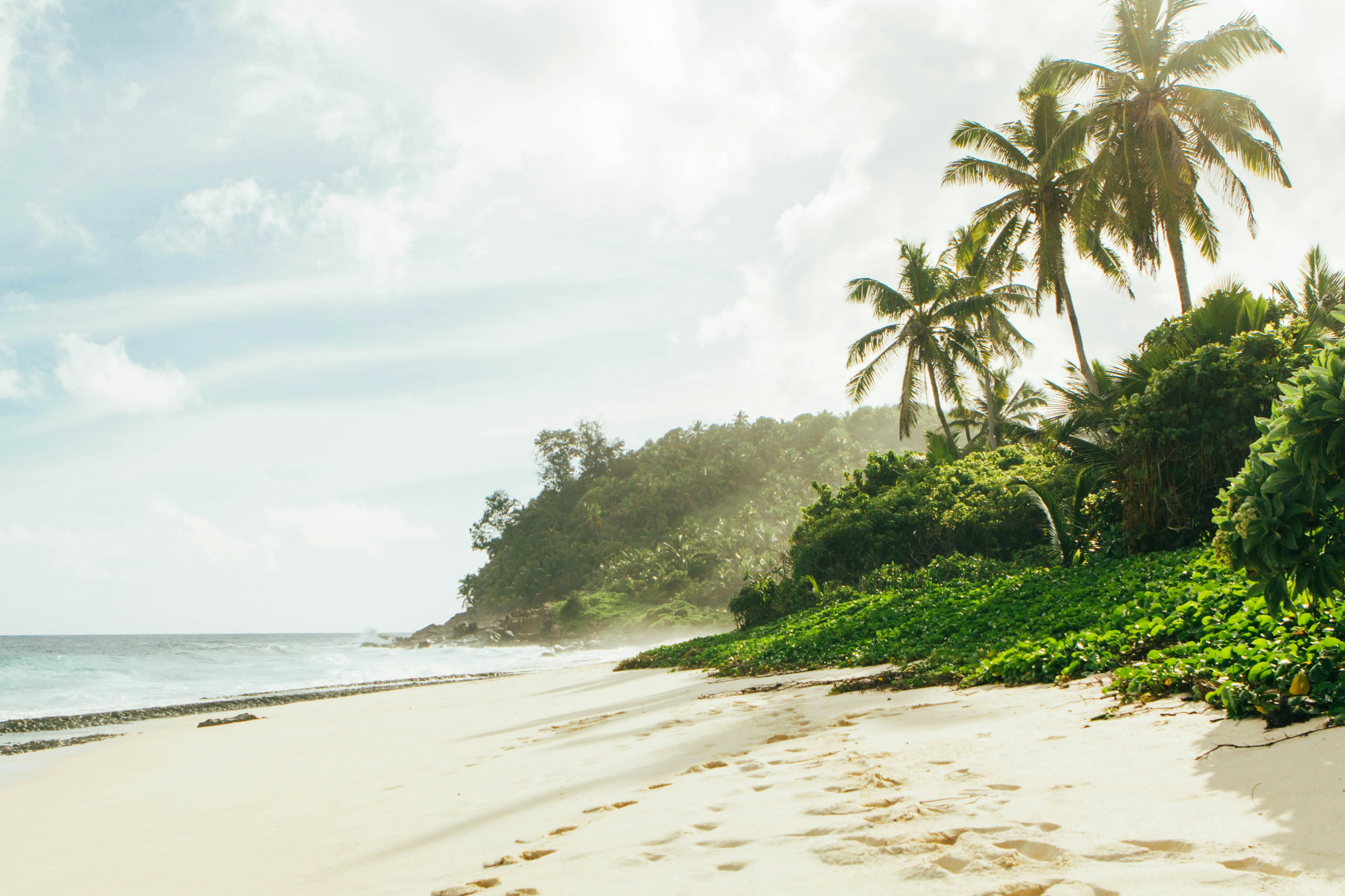 A white sand beach fringed with palm trees curves along a turquoise bay on Praslin island.