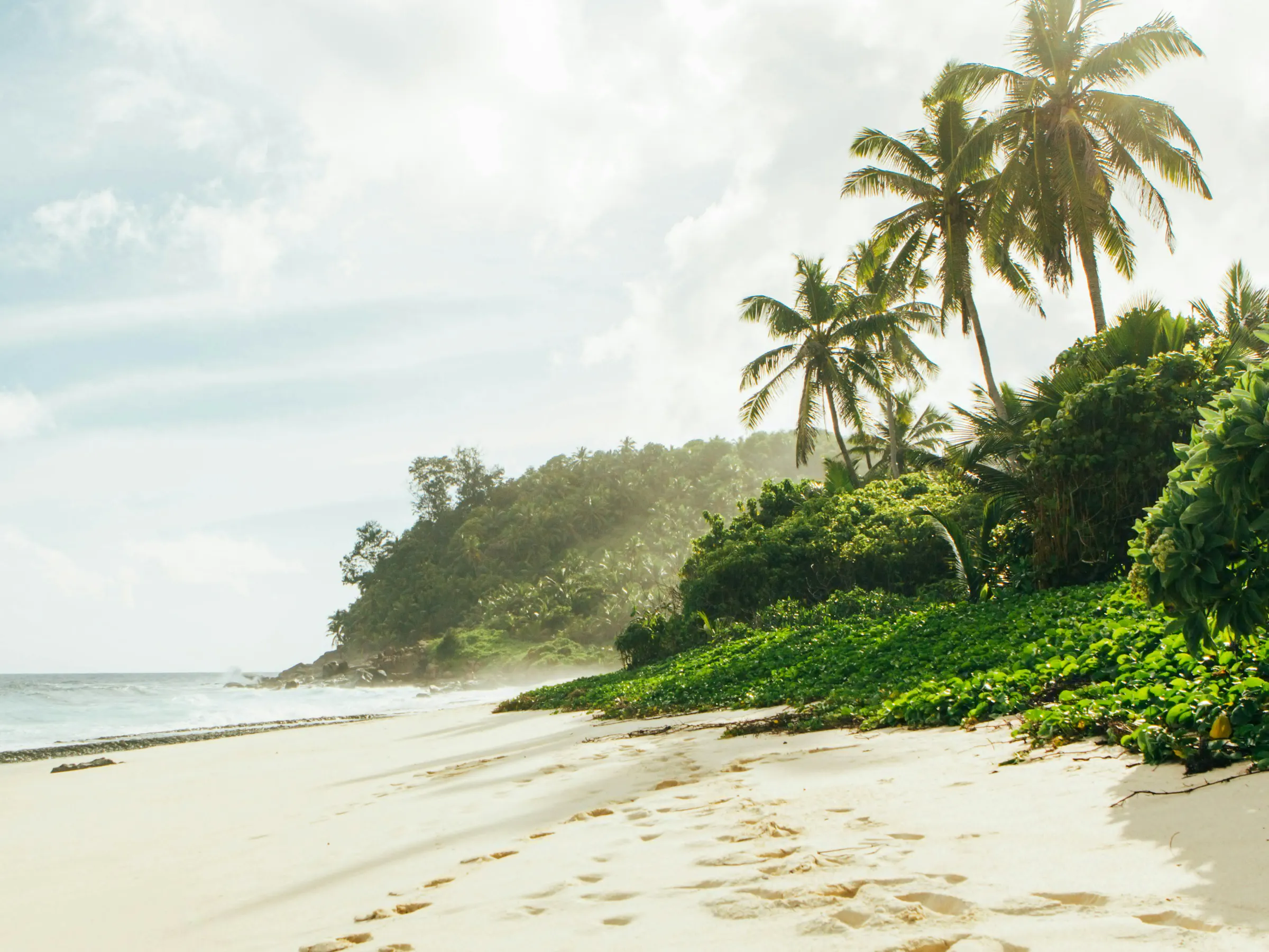 A white sand beach fringed with palm trees curves along a turquoise bay on Praslin island.