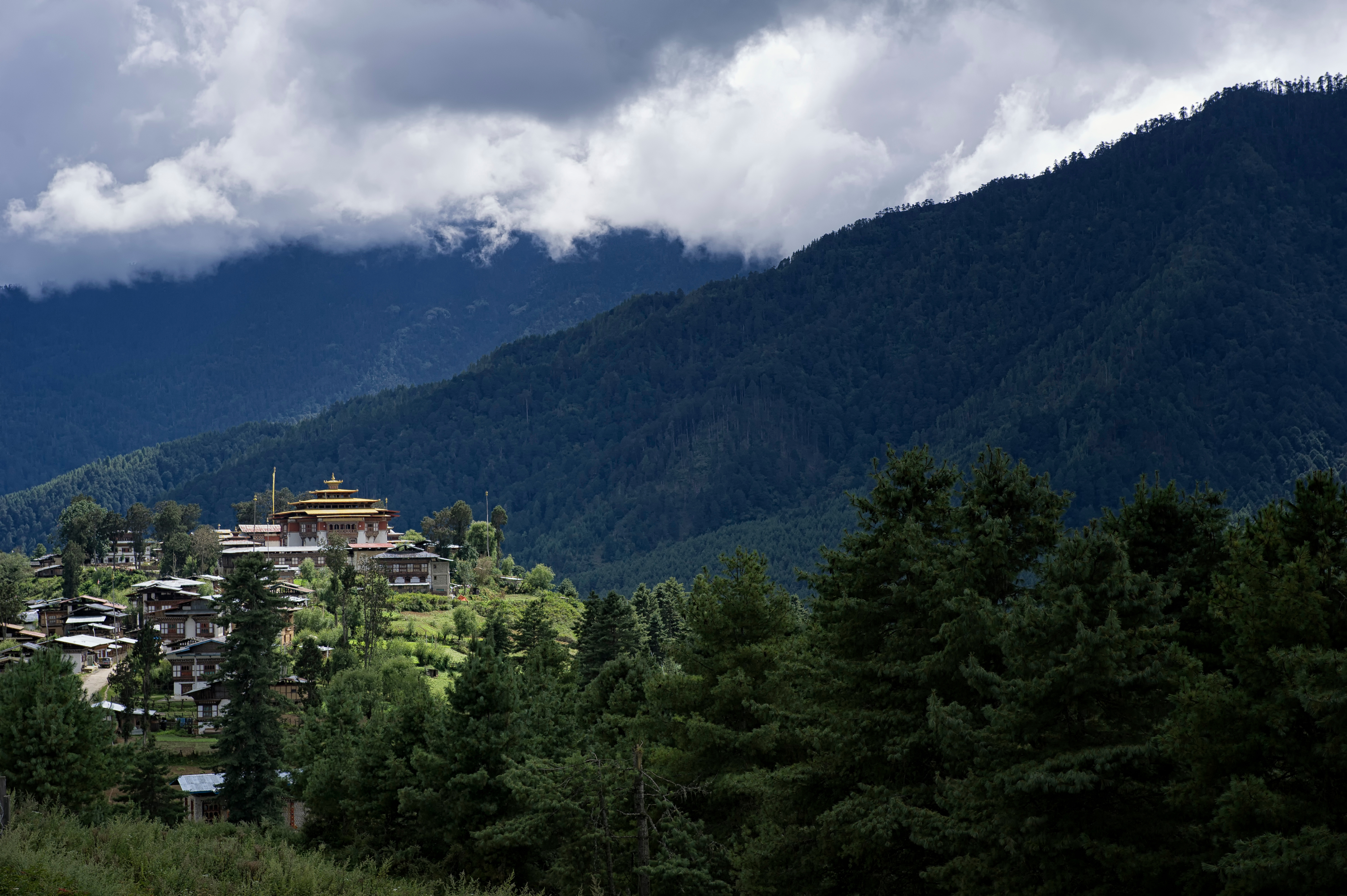 Forested mountains rise behind a wide green valley in Bhutan under a dramatic cloudy sky.