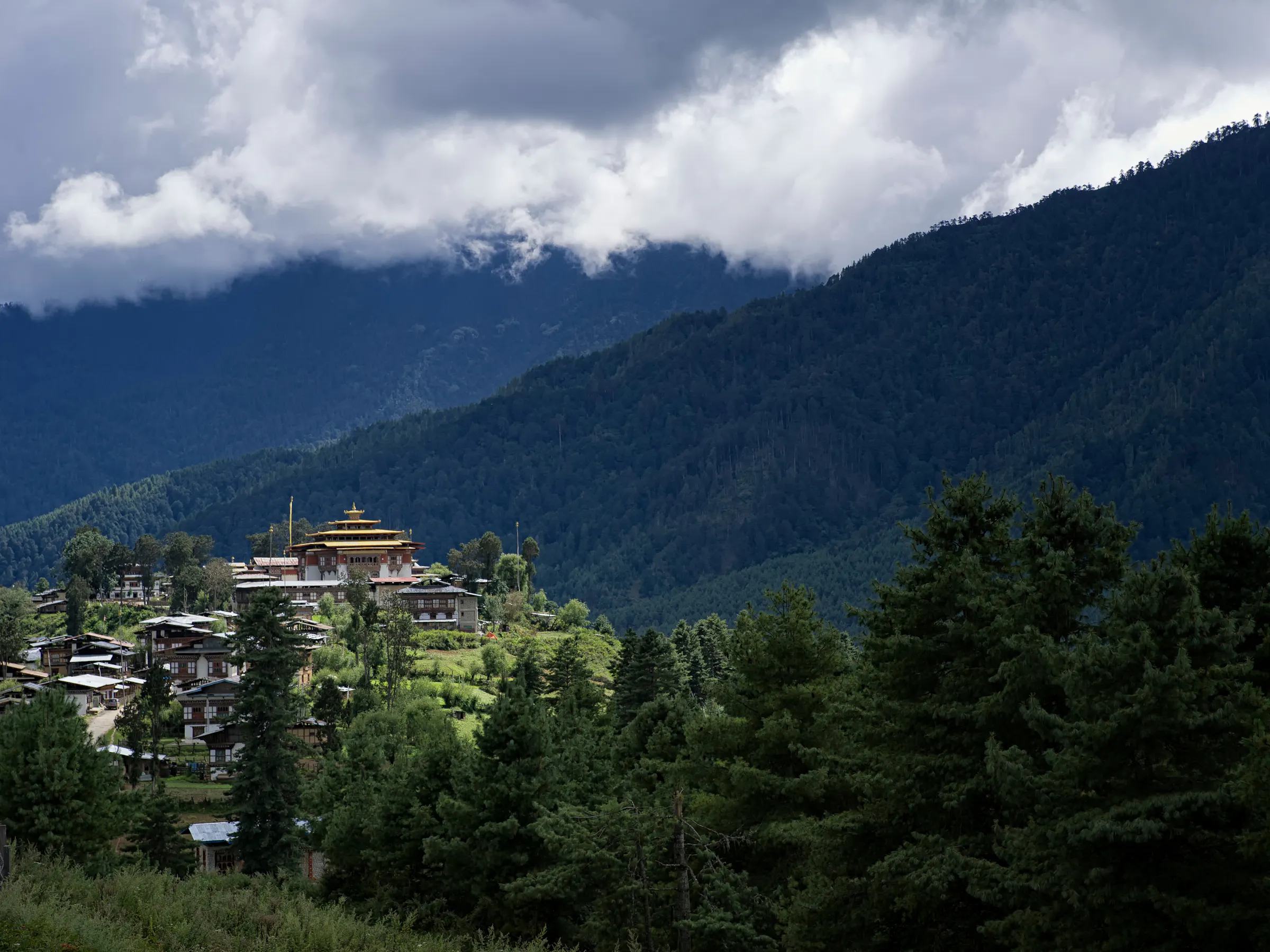 Forested mountains rise behind a wide green valley in Bhutan under a dramatic cloudy sky.