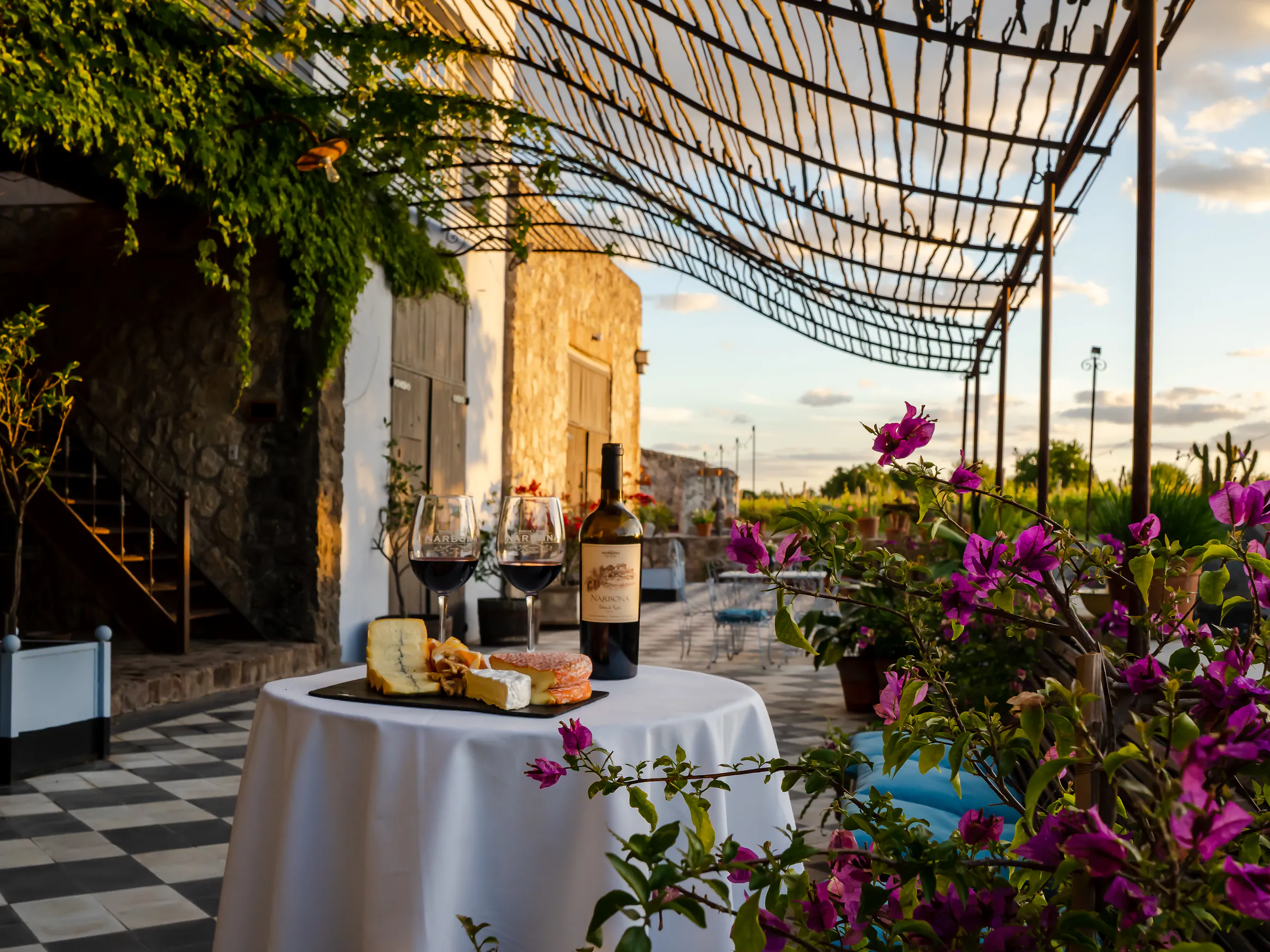 An ornate covered patio with iron birdcages, bougainvillea, and patterned tile floors at a wine lodge.