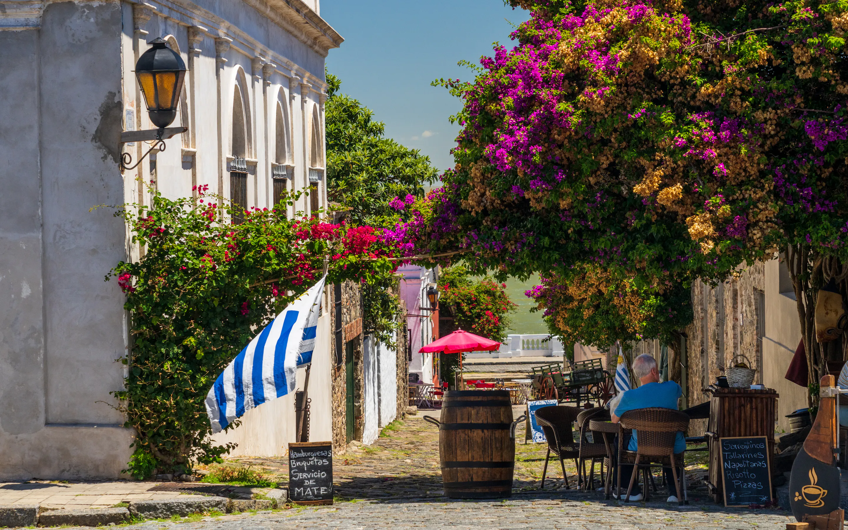 A narrow cobblestone street lined with colorful colonial buildings and flowering trees in Colonia.