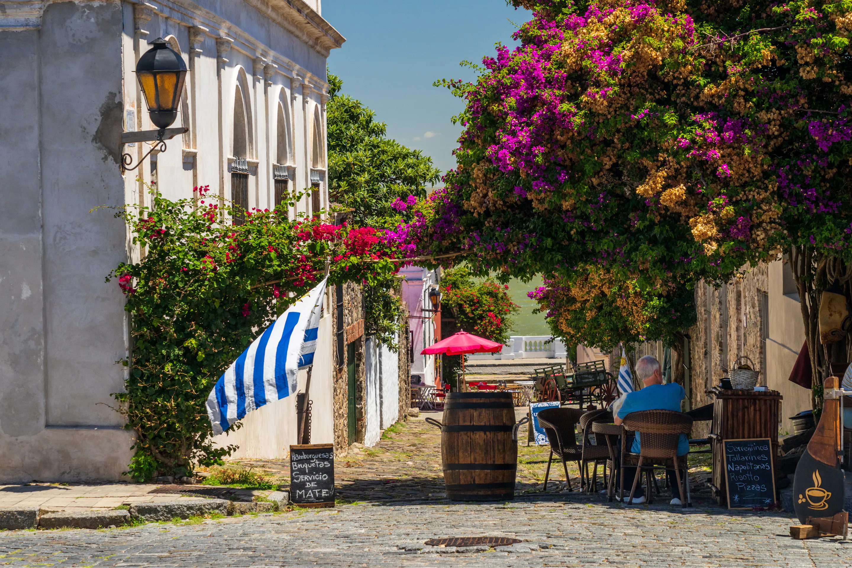 A narrow cobblestone street lined with colorful colonial buildings and flowering trees in Colonia.