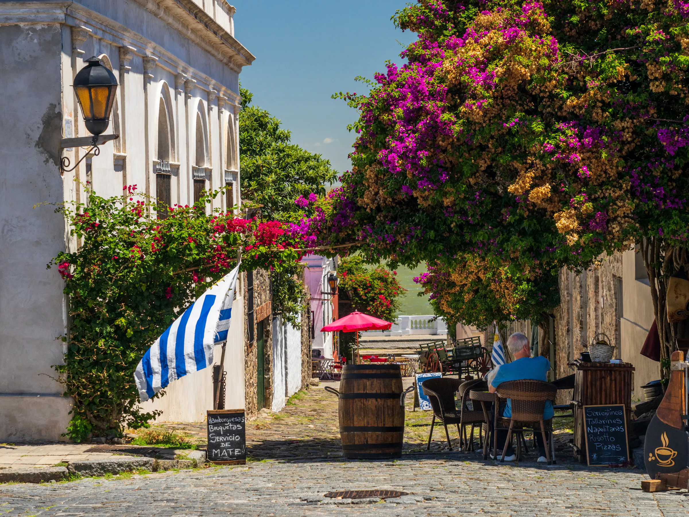 A narrow cobblestone street lined with colorful colonial buildings and flowering trees in Colonia.