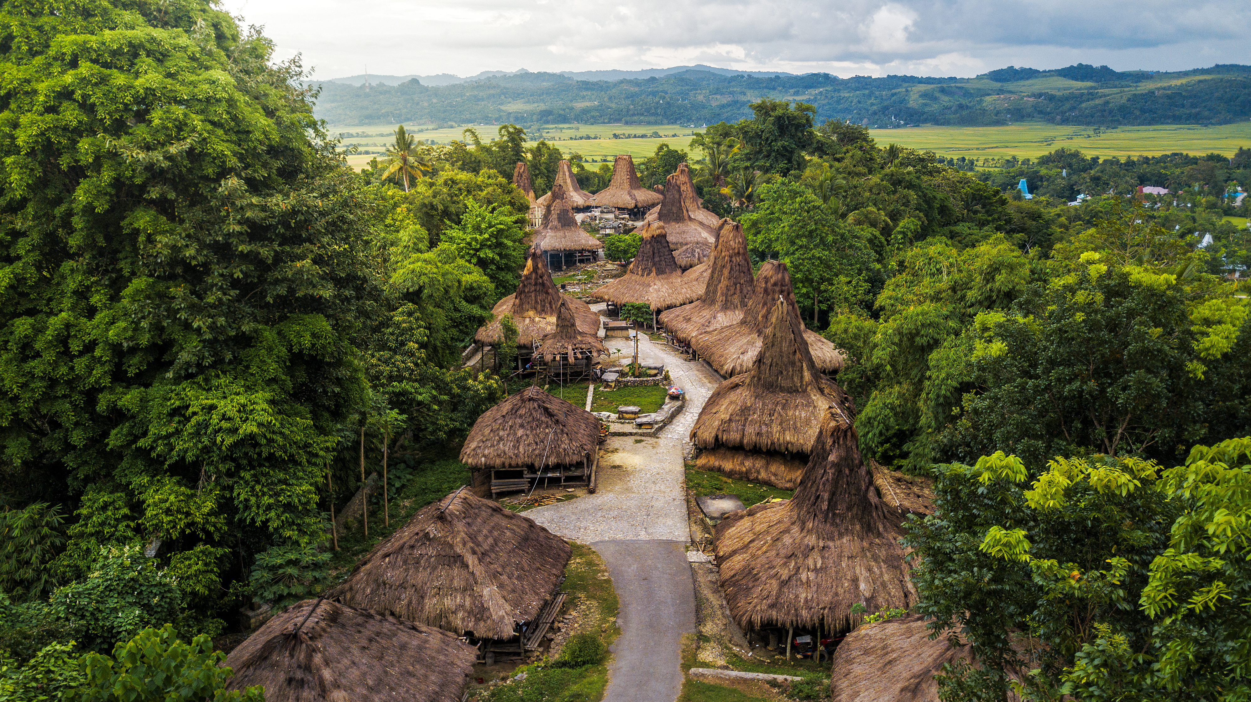 Rocky cliffs draped in green vegetation rise above a calm blue sea along Sumba's coastline.