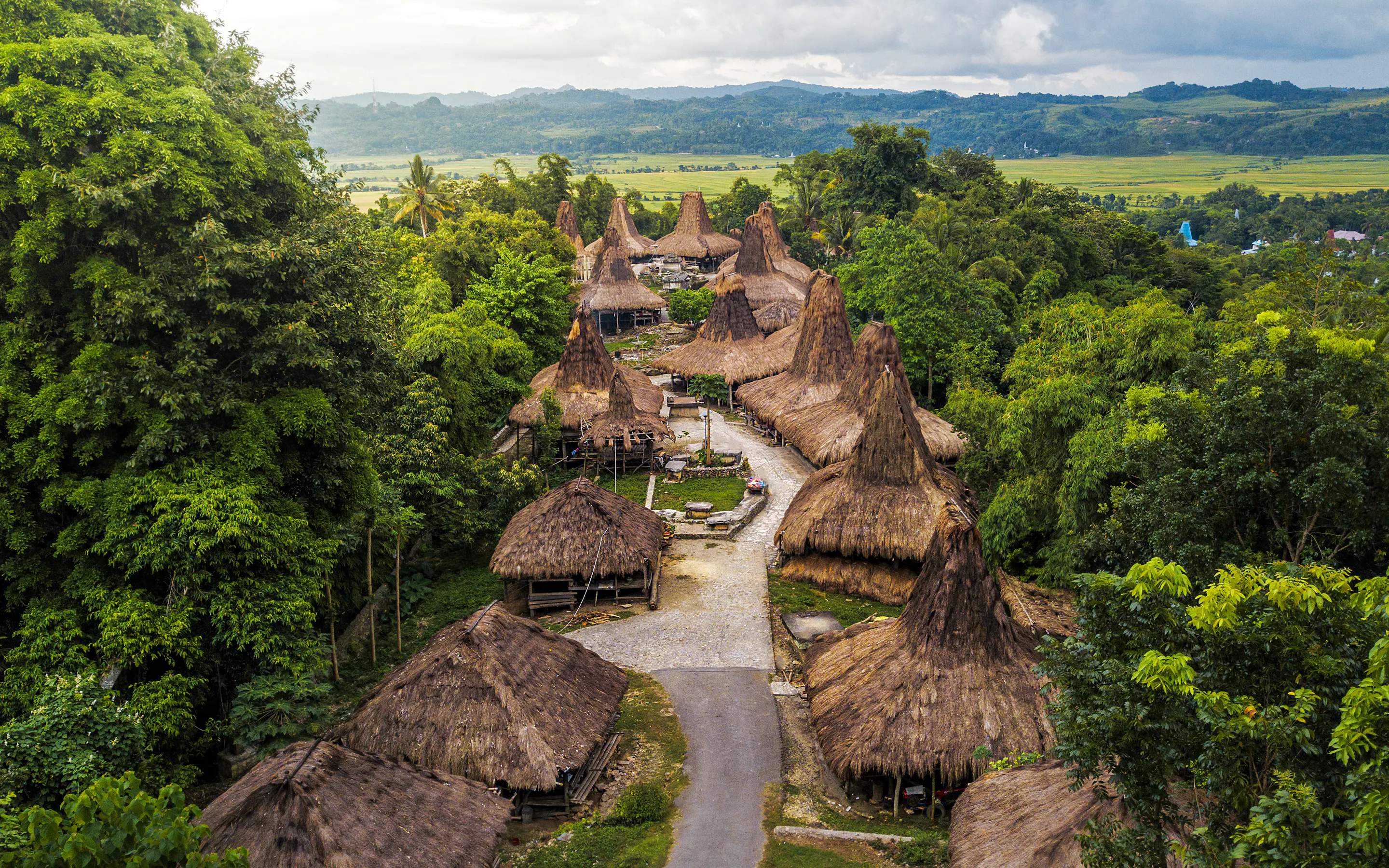 Rocky cliffs draped in green vegetation rise above a calm blue sea along Sumba's coastline.