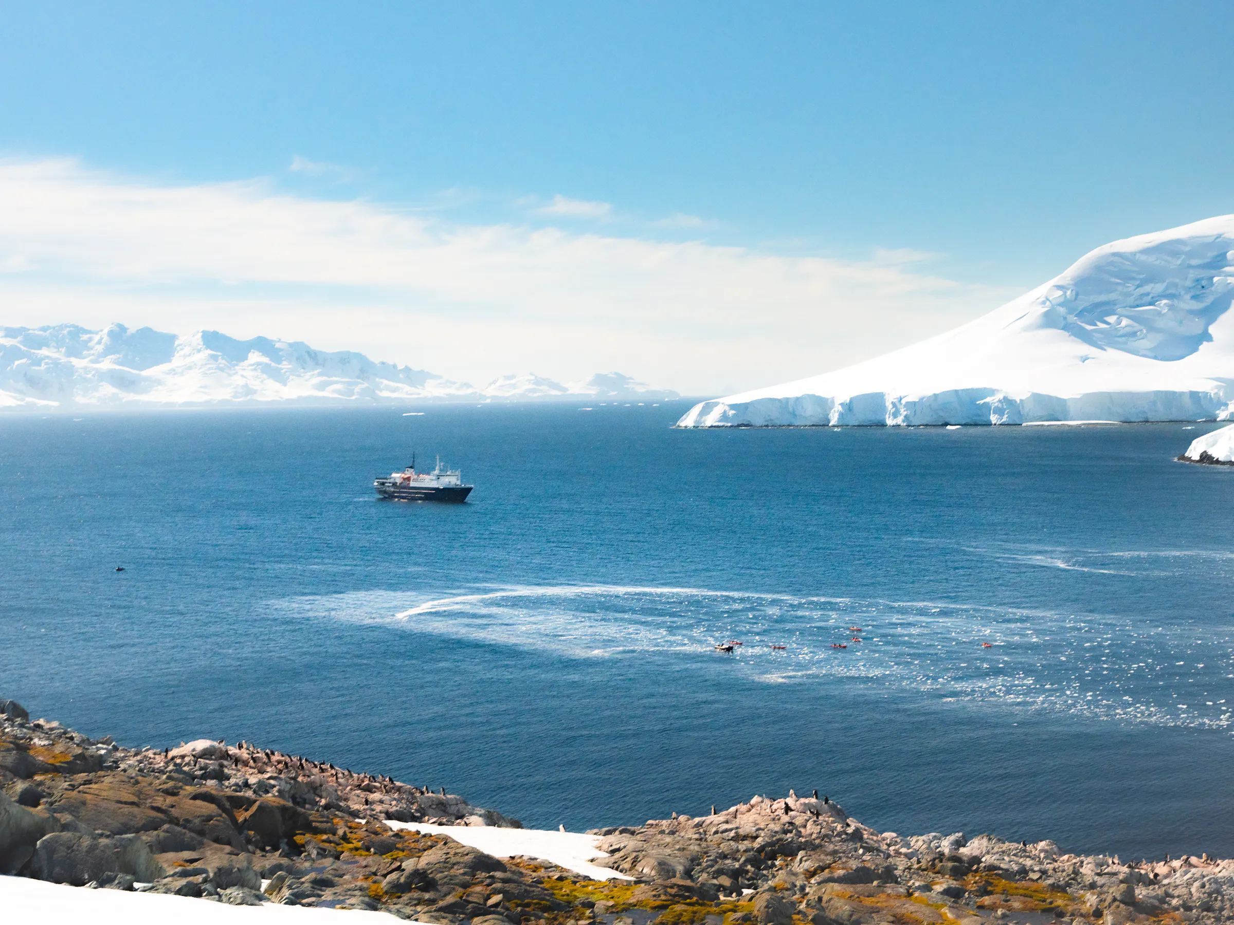 A small expedition vessel sails across icy blue waters with snow-covered mountains beyond.