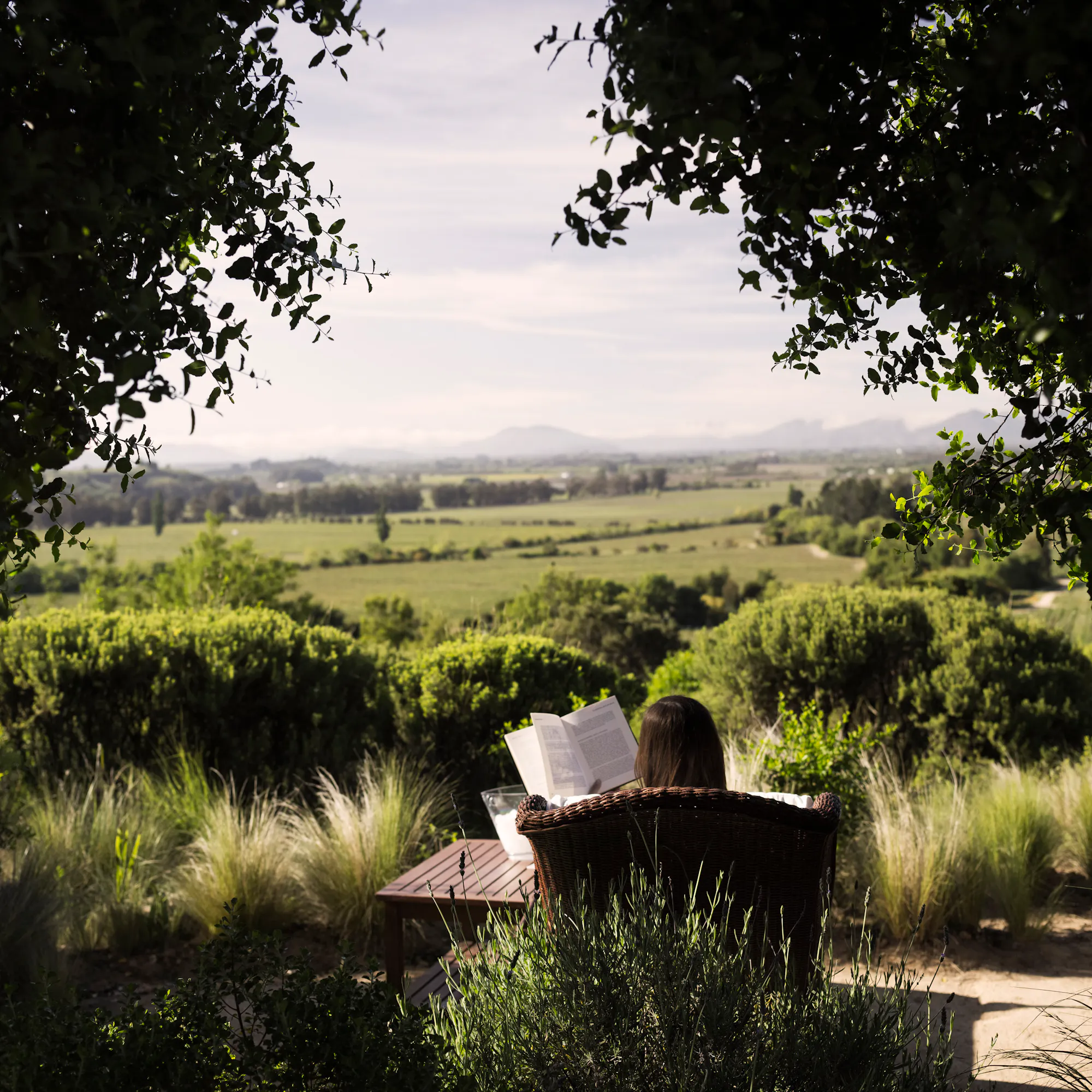Two people relax in lounge chairs in a shaded outdoor area of a Chilean winery estate.