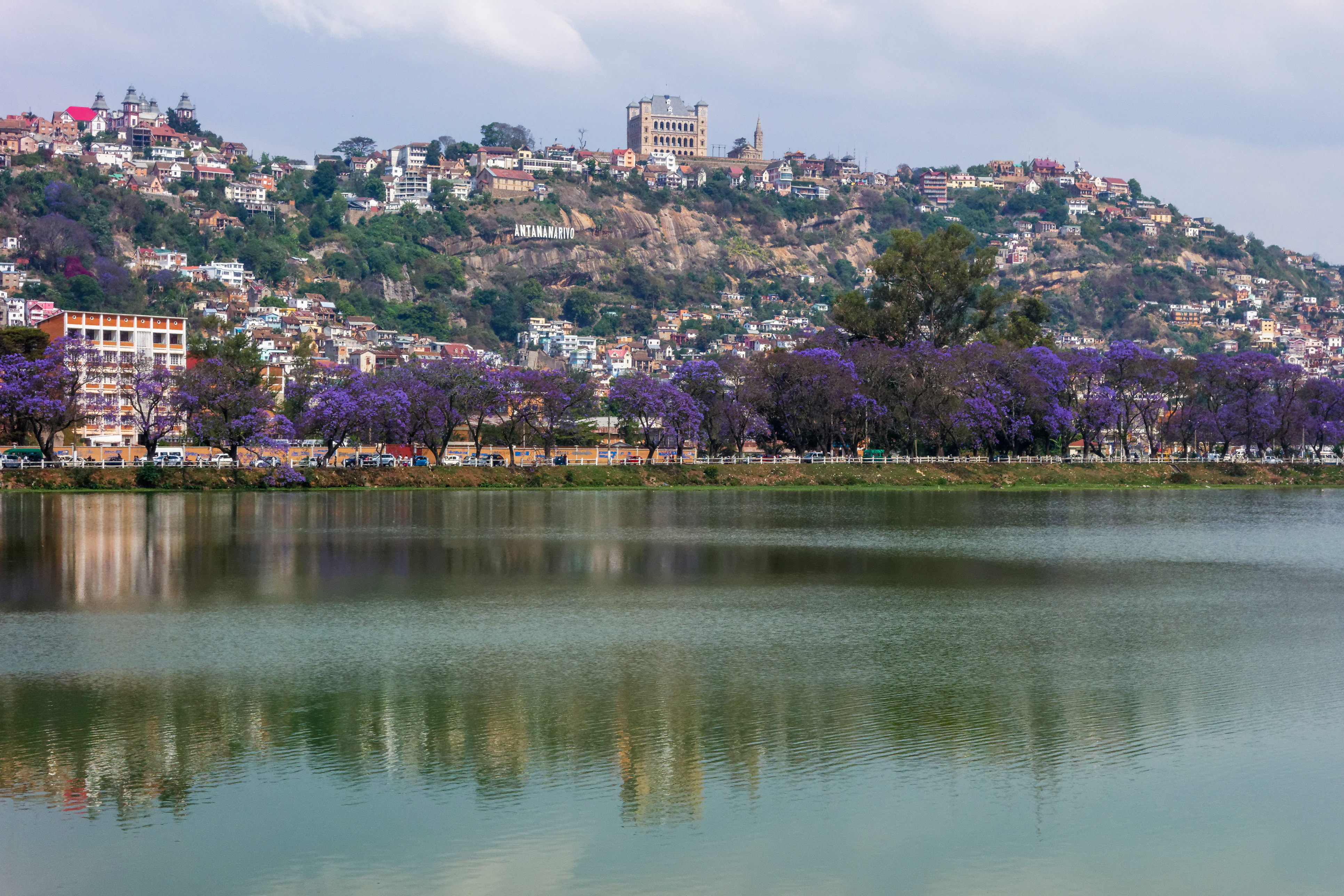 A hilltop city with colorful buildings descends around a lake rimmed with jacaranda trees in Madagascar.