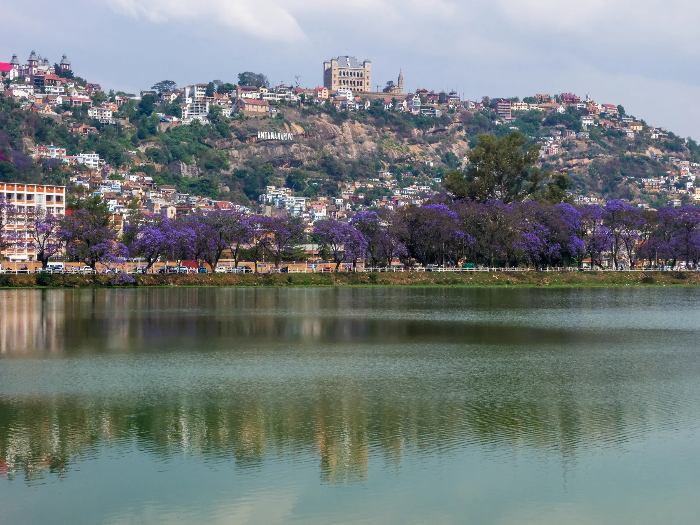 A hilltop city with colorful buildings descends around a lake rimmed with jacaranda trees in Madagascar.
