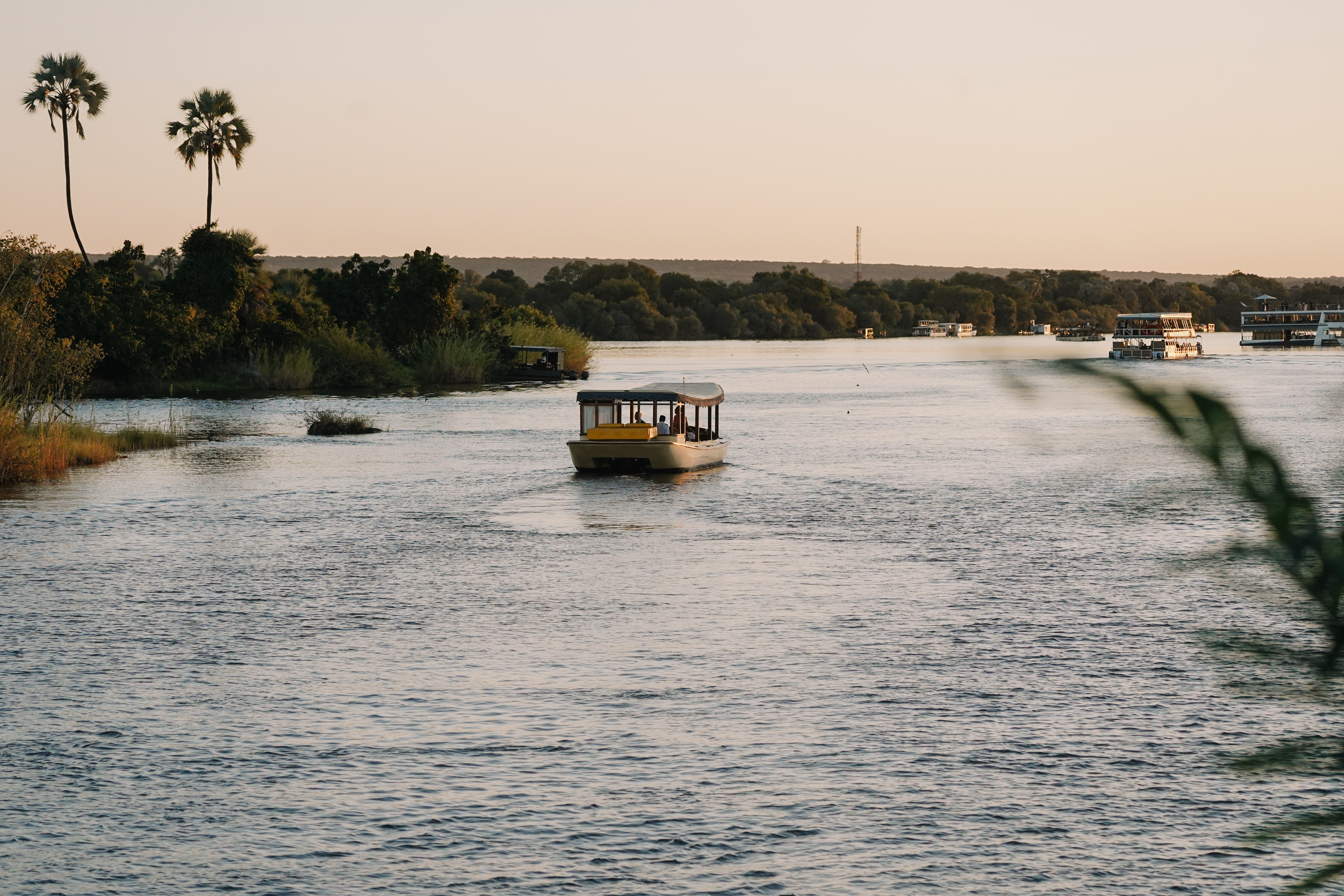 A boat glides along a broad river bordered by reeds and palm trees under a soft sky.