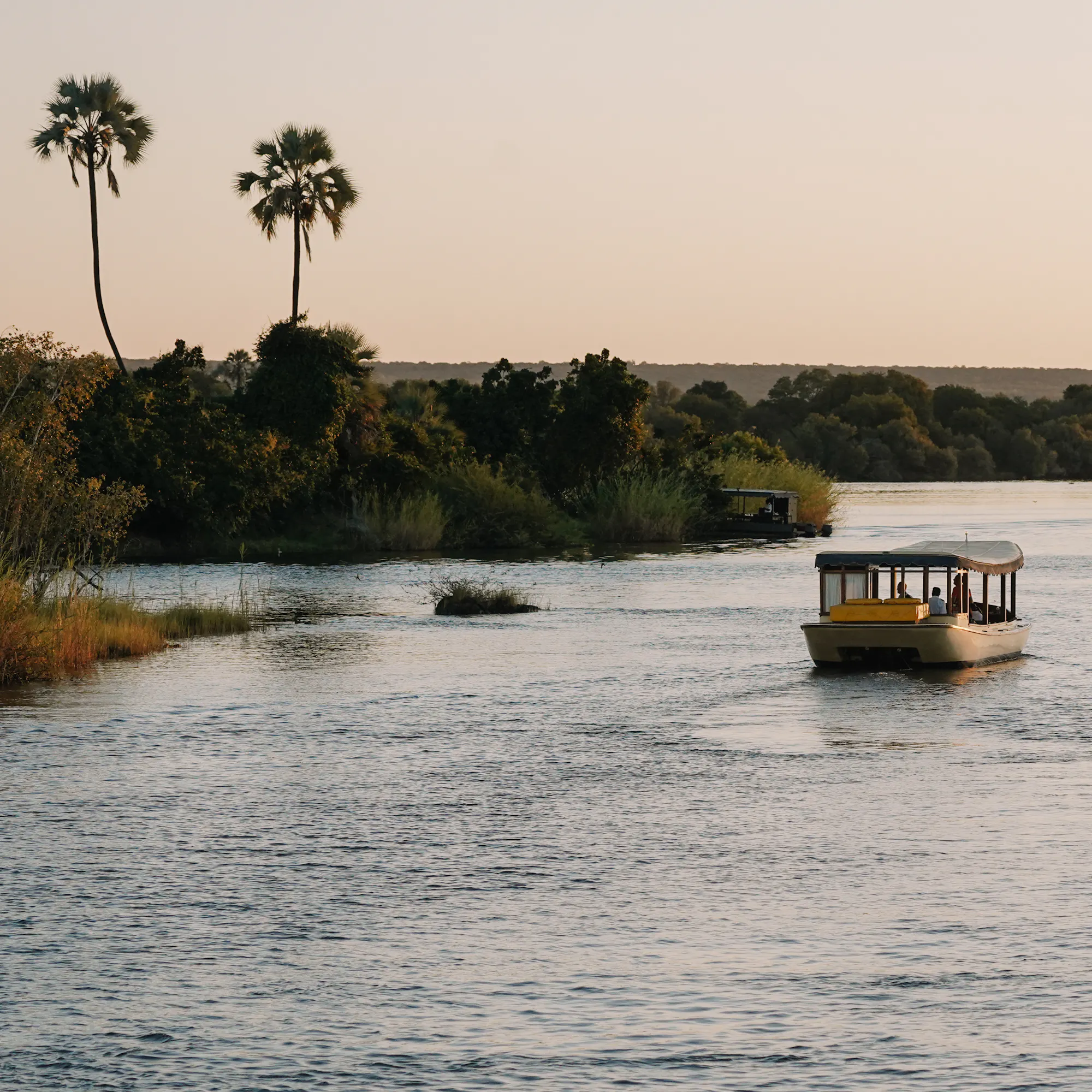 A boat glides along a broad river bordered by reeds and palm trees under a soft sky.