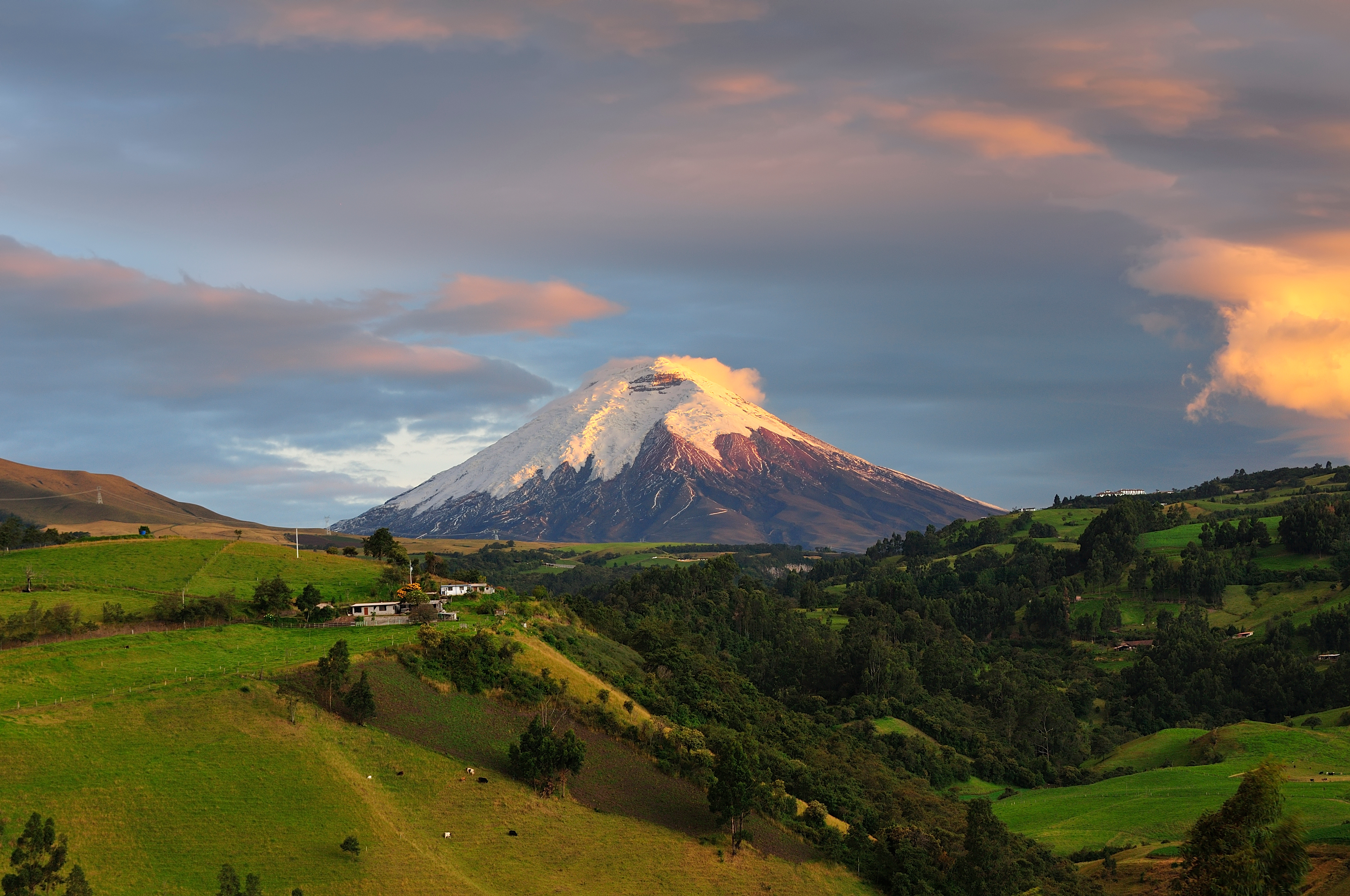 The snow-capped cone of Cotopaxi volcano rises above rolling green highland plains in Ecuador.