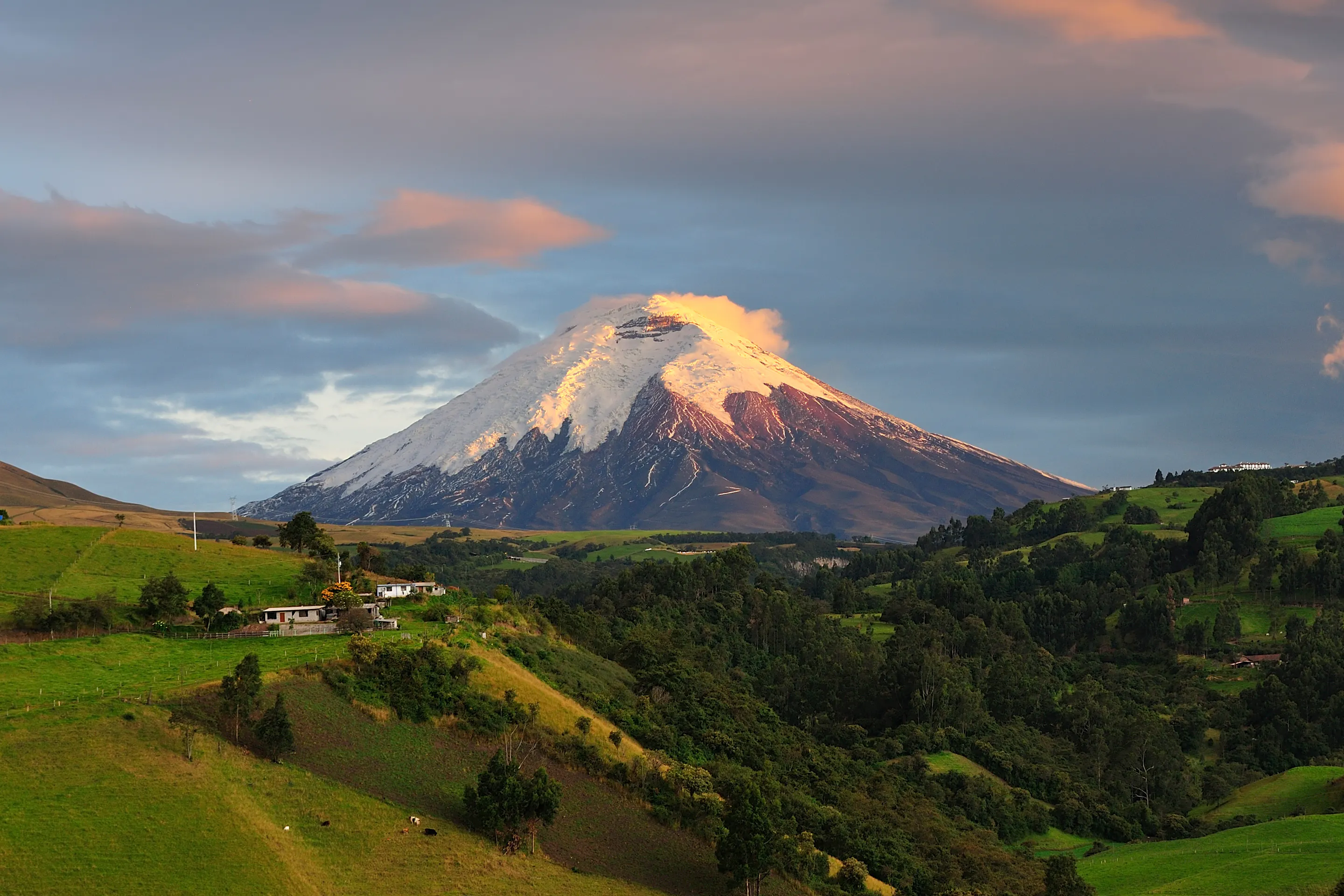 The snow-capped cone of Cotopaxi volcano rises above rolling green highland plains in Ecuador.