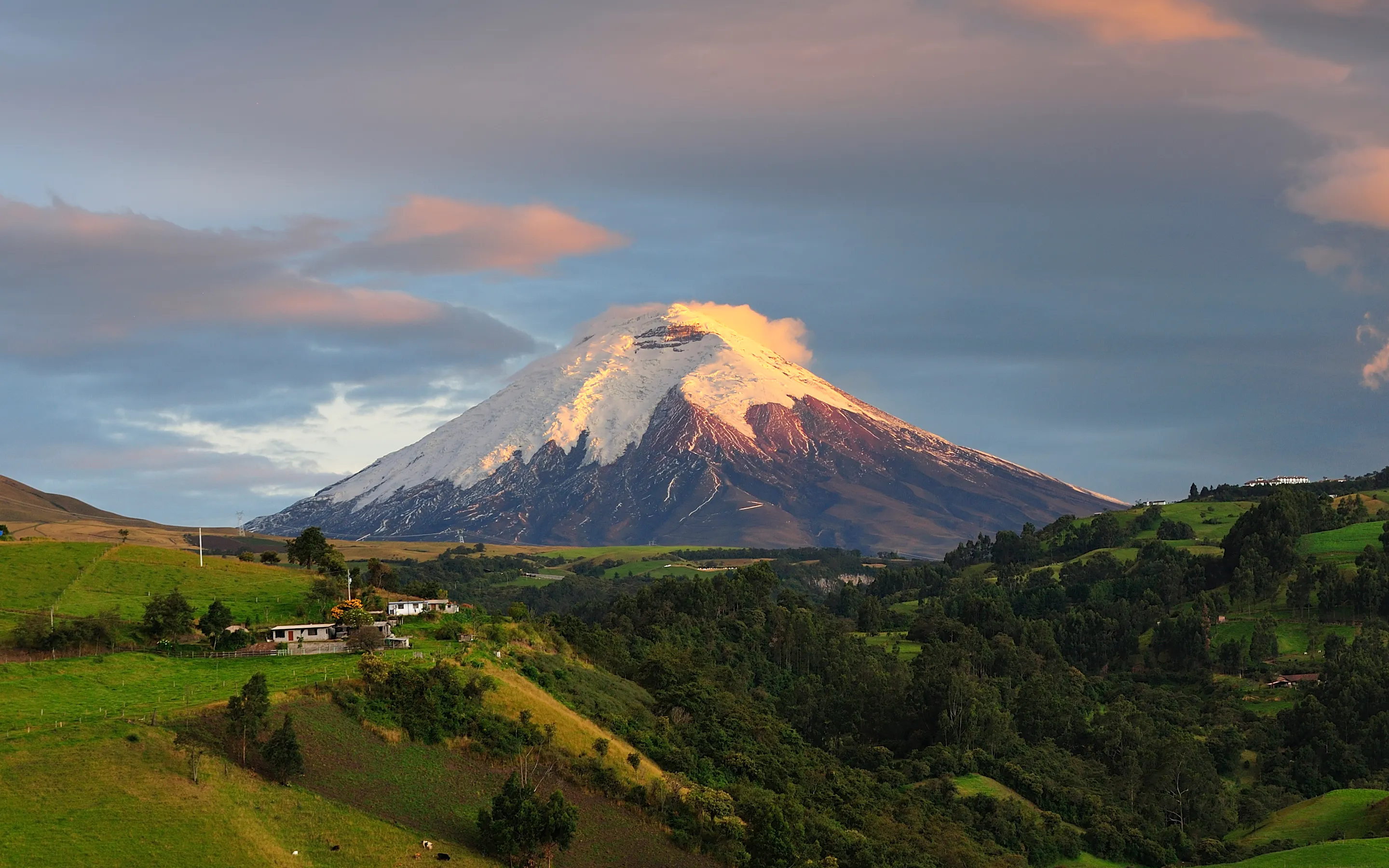 The snow-capped cone of Cotopaxi volcano rises above rolling green highland plains in Ecuador.