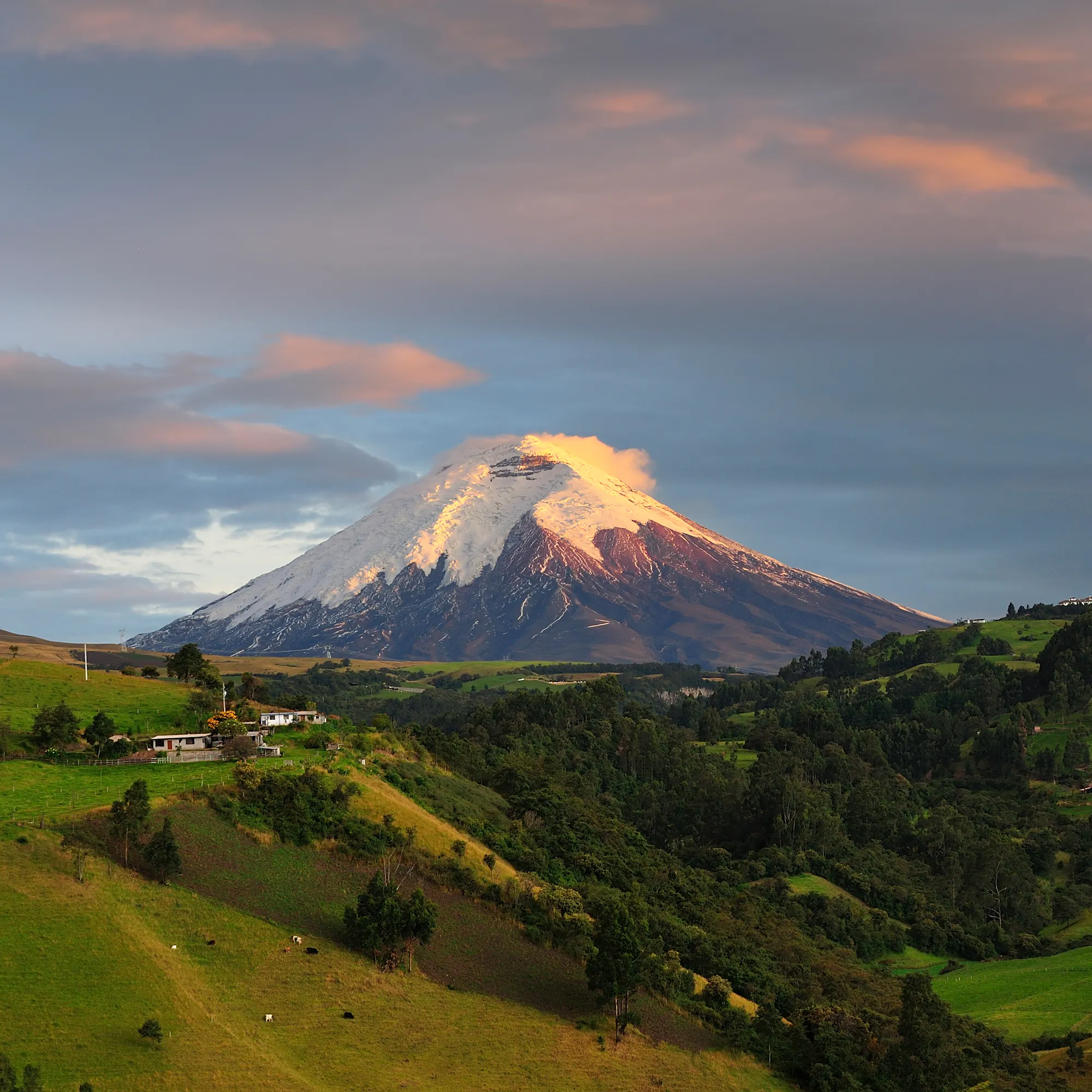 The snow-capped cone of Cotopaxi volcano rises above rolling green highland plains in Ecuador.