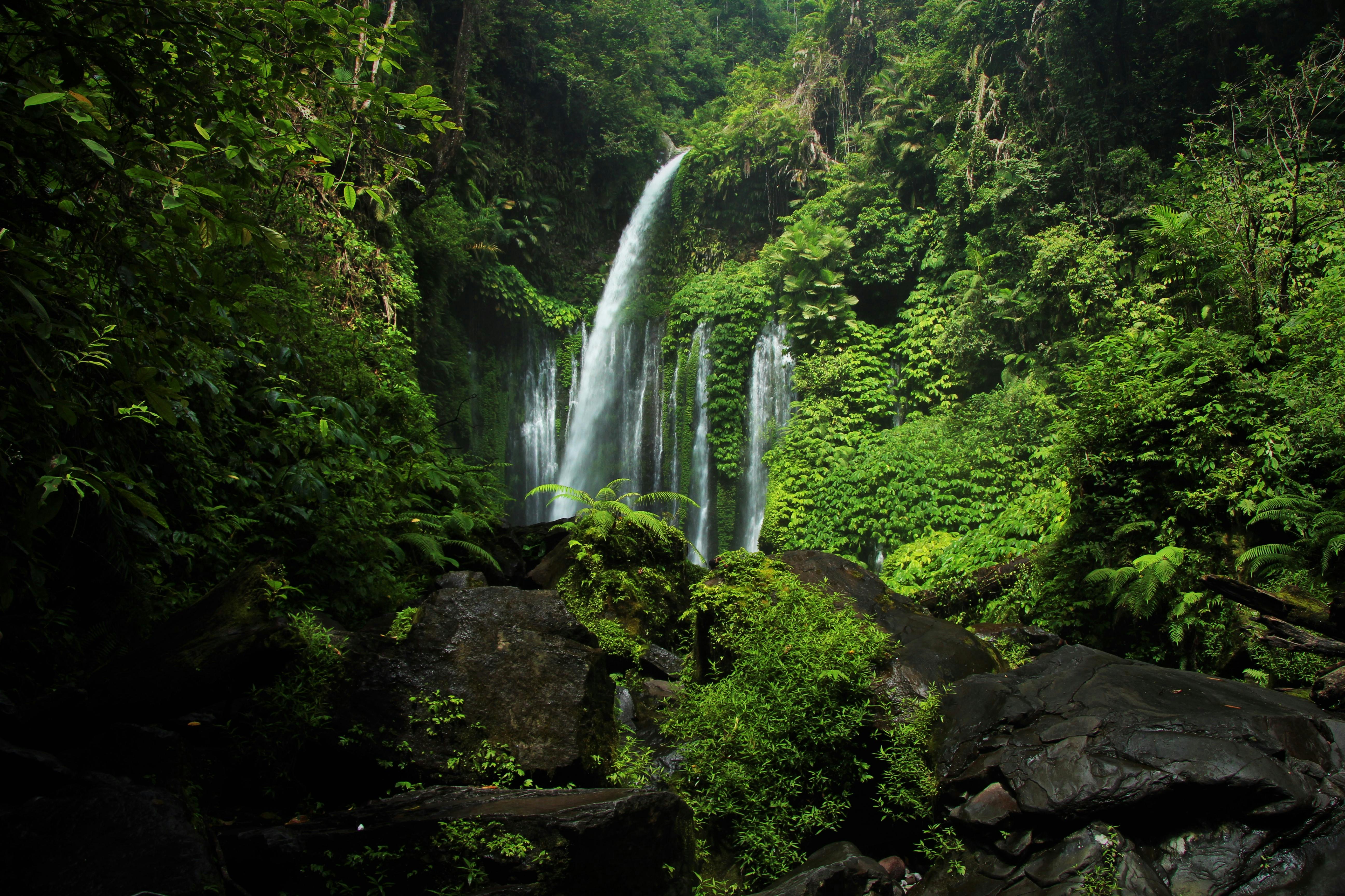 A tall waterfall cascades through dense green jungle into a pool below in Lombok.