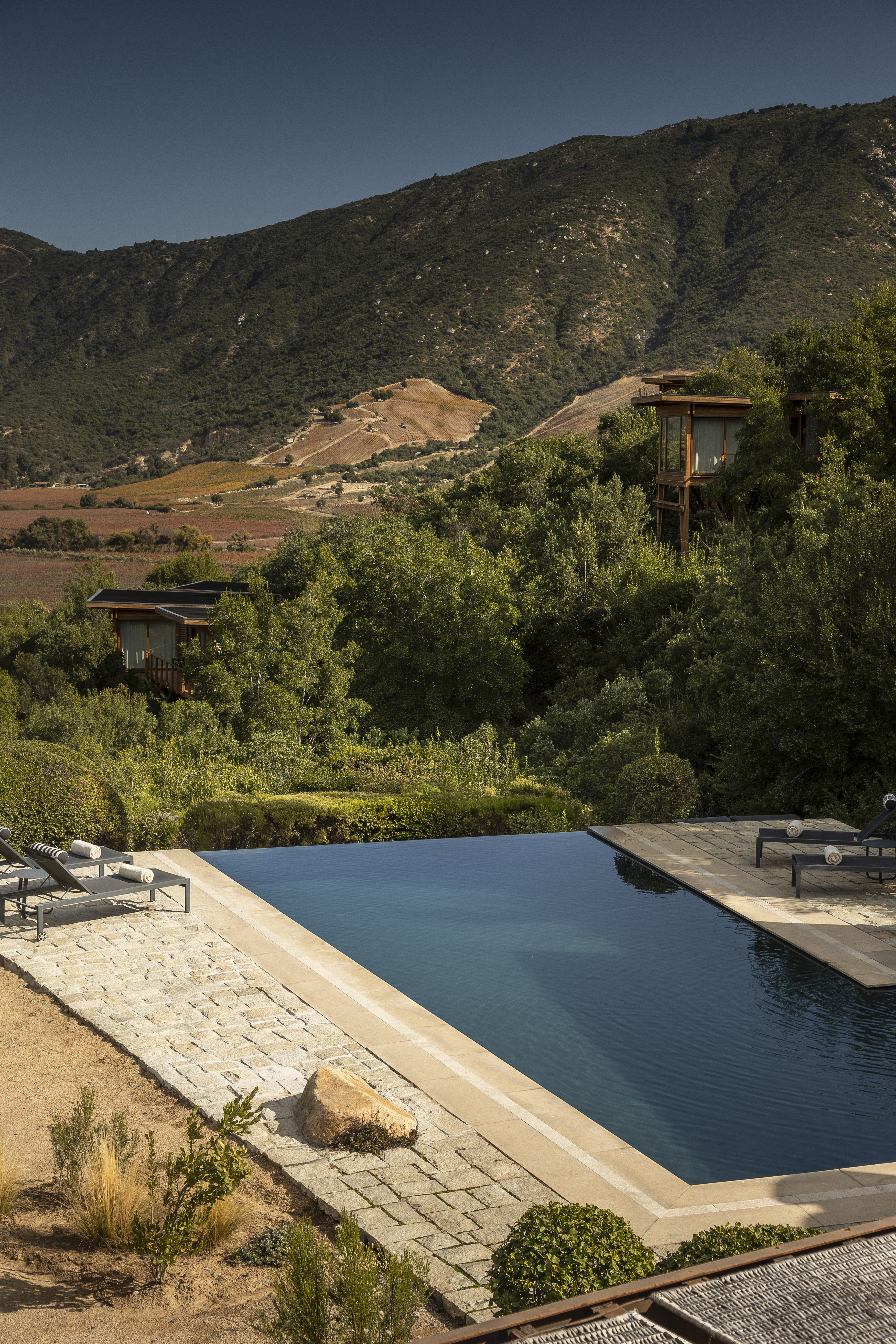 Neat vineyard rows and a dark reflecting pool sit before a modern winery building in Chile.