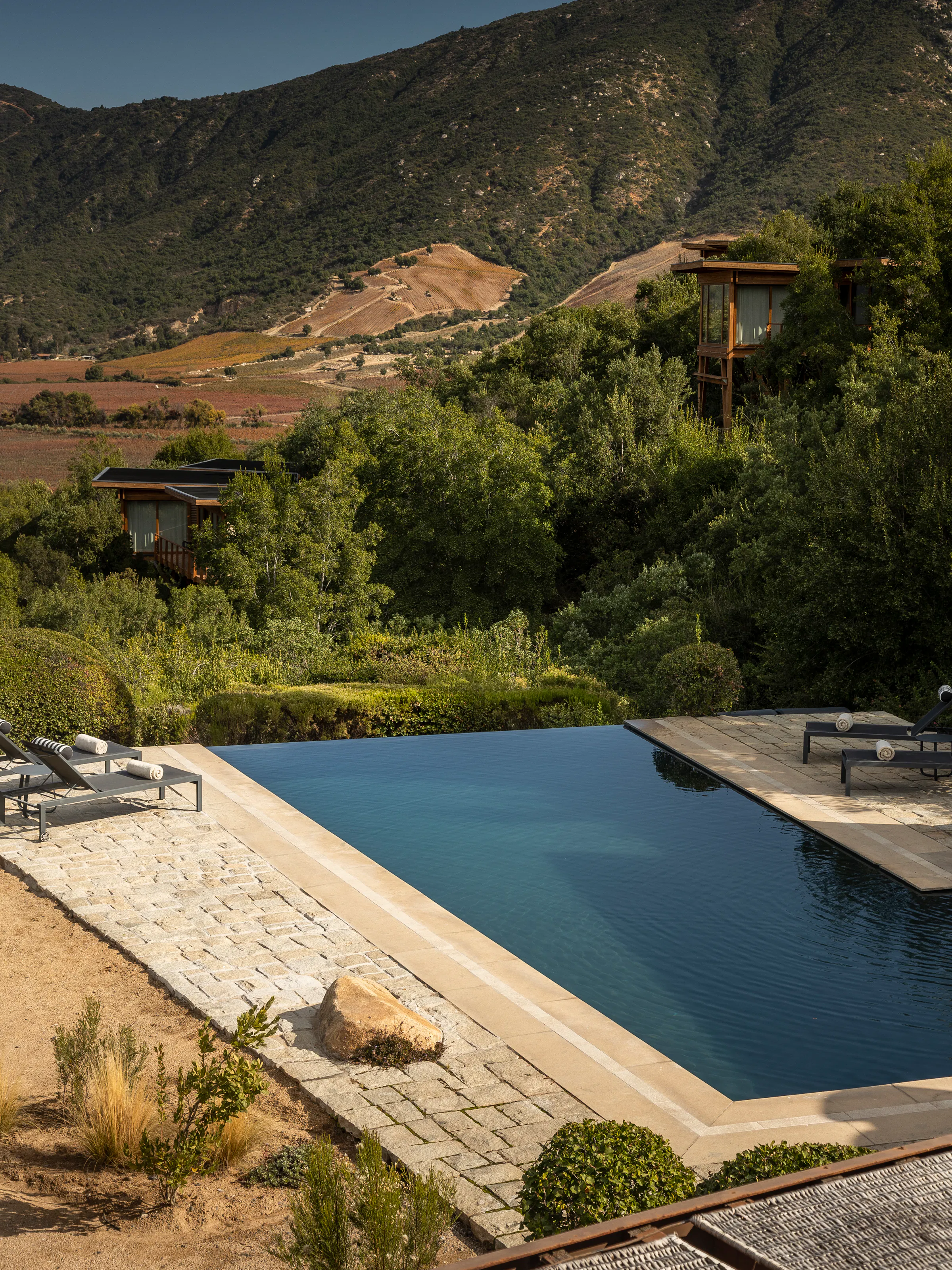 Neat vineyard rows and a dark reflecting pool sit before a modern winery building in Chile.