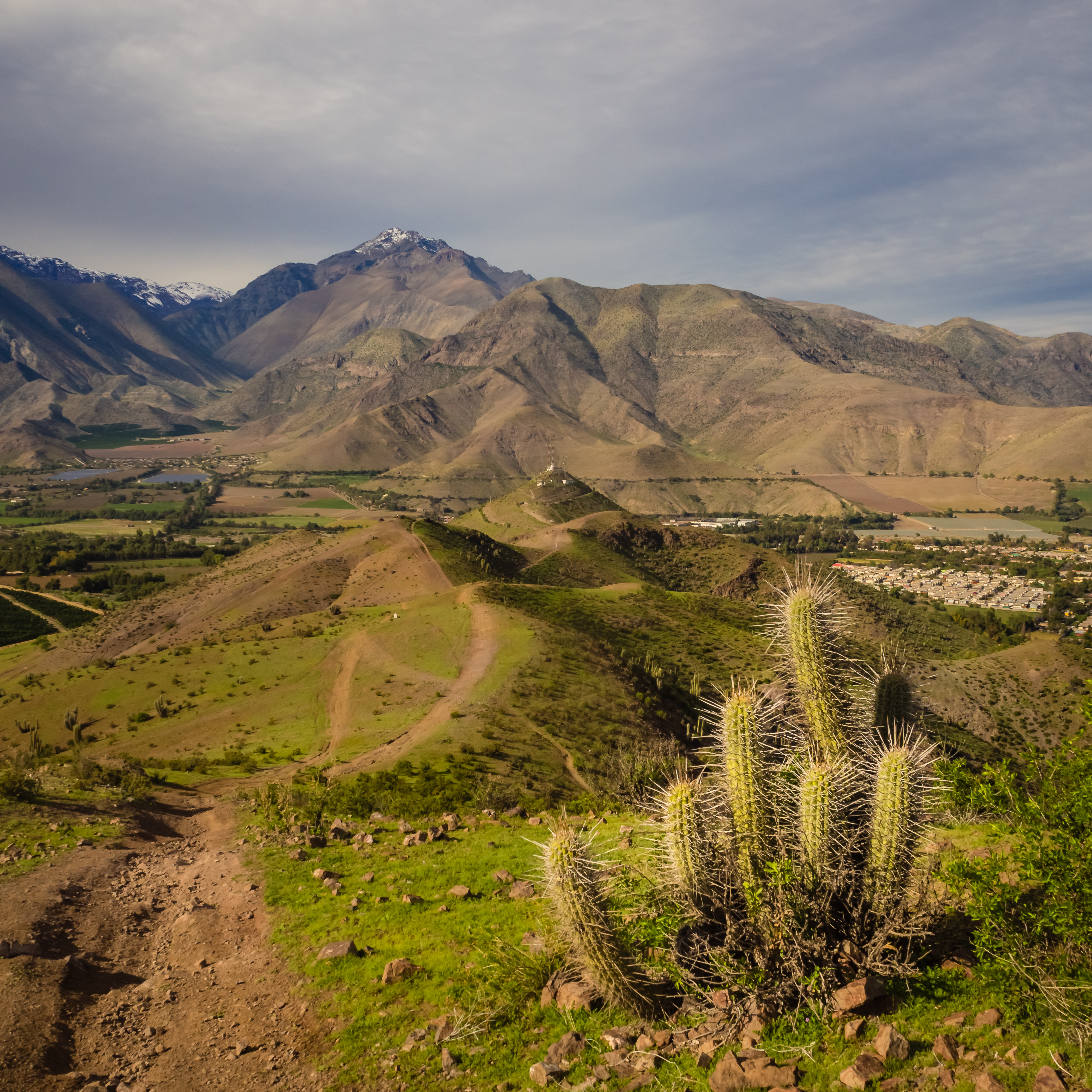 Dry mountains with sparse cacti and scrub fill a wide valley under a blue sky in Chile.