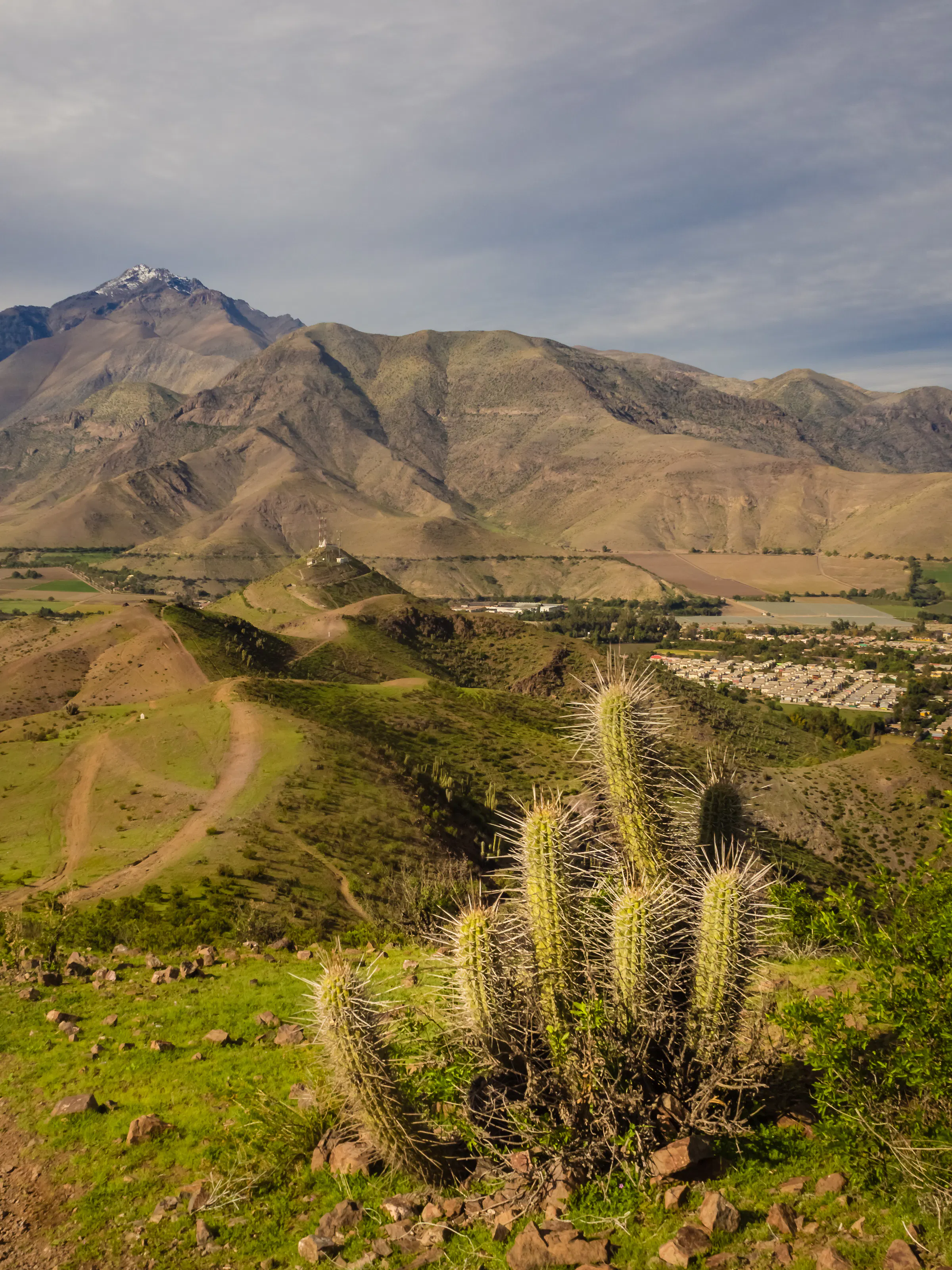 Dry mountains with sparse cacti and scrub fill a wide valley under a blue sky in Chile.