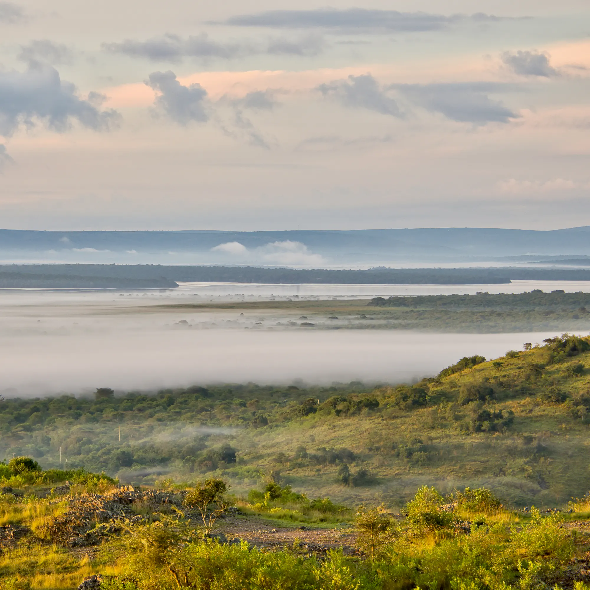 A wide green floodplain stretches toward distant hills beneath a partly cloudy sky in Uganda.