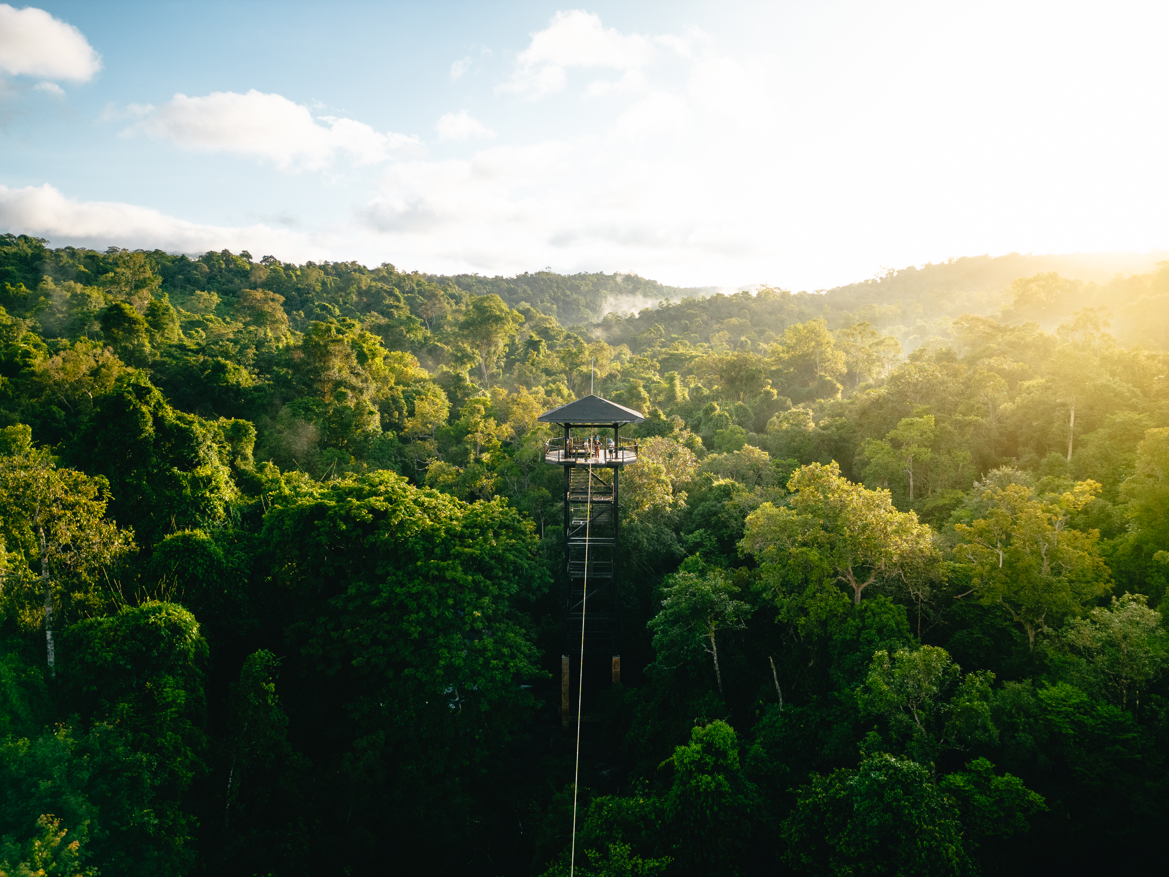 A guide and traveler walk a forest trail through tall trees in Cambodia's Cardamom Mountains.