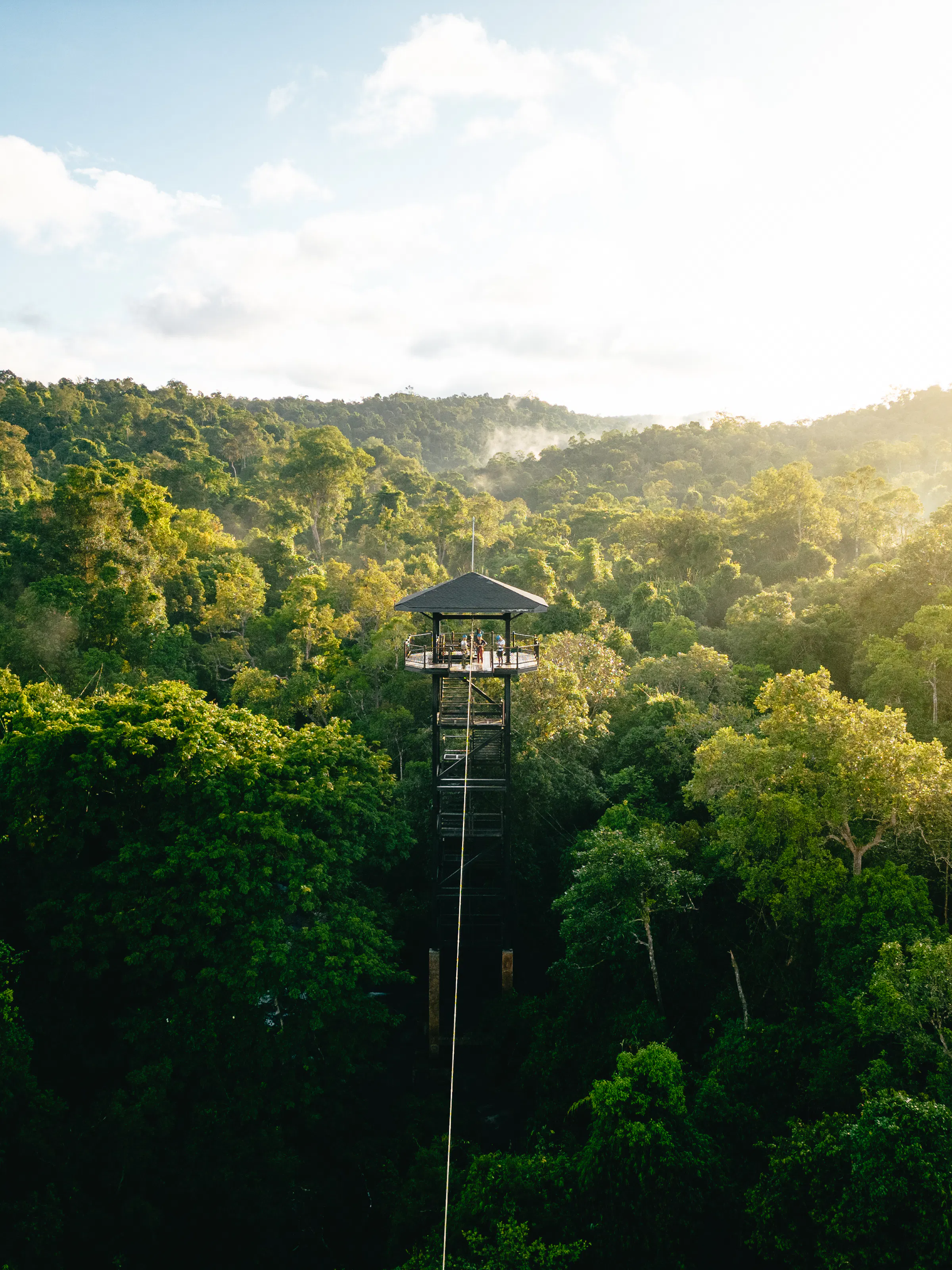 A guide and traveler walk a forest trail through tall trees in Cambodia's Cardamom Mountains.