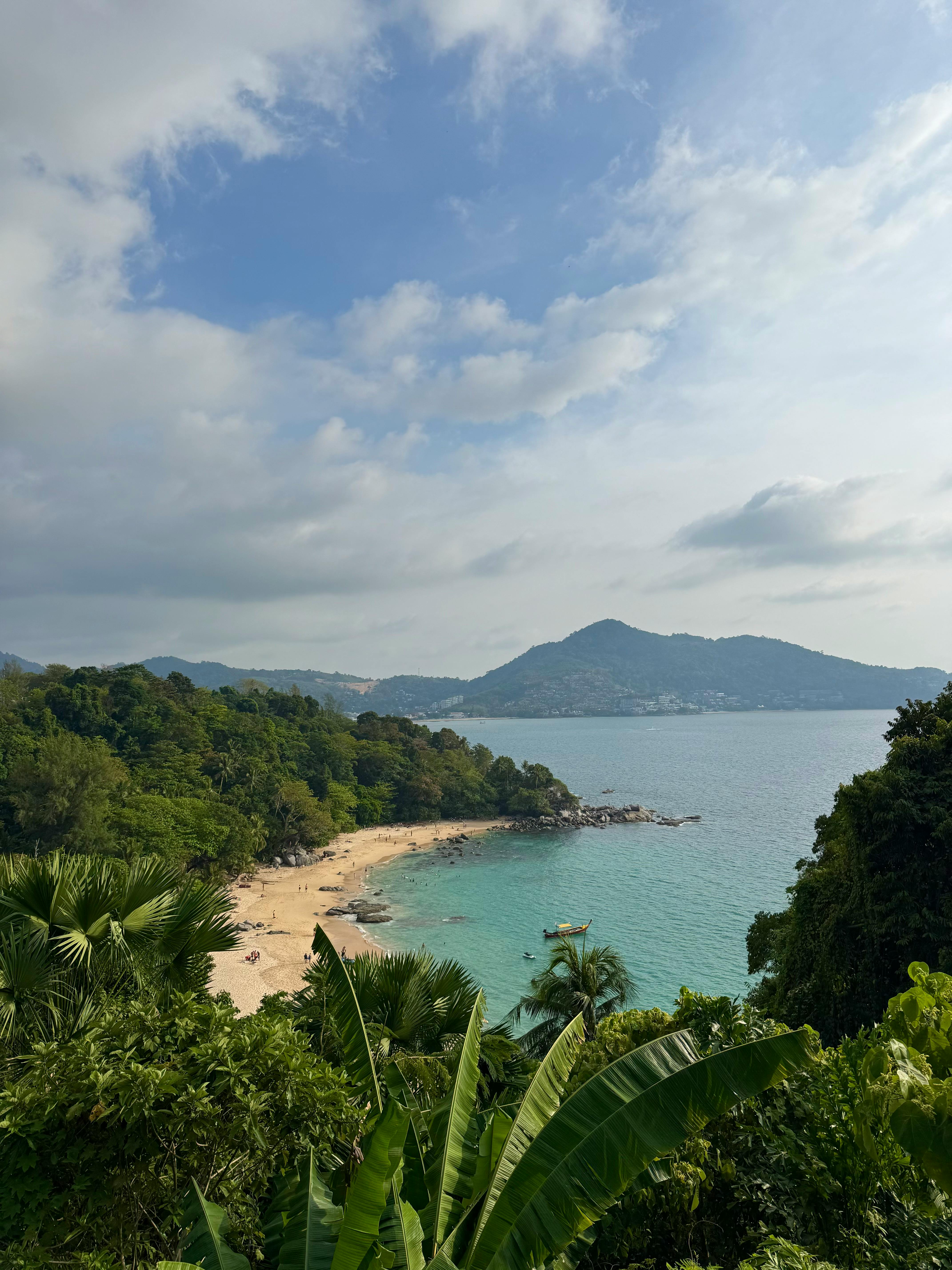 A sweeping bay with a sandy beach and tree-covered headland is seen from an elevated viewpoint.