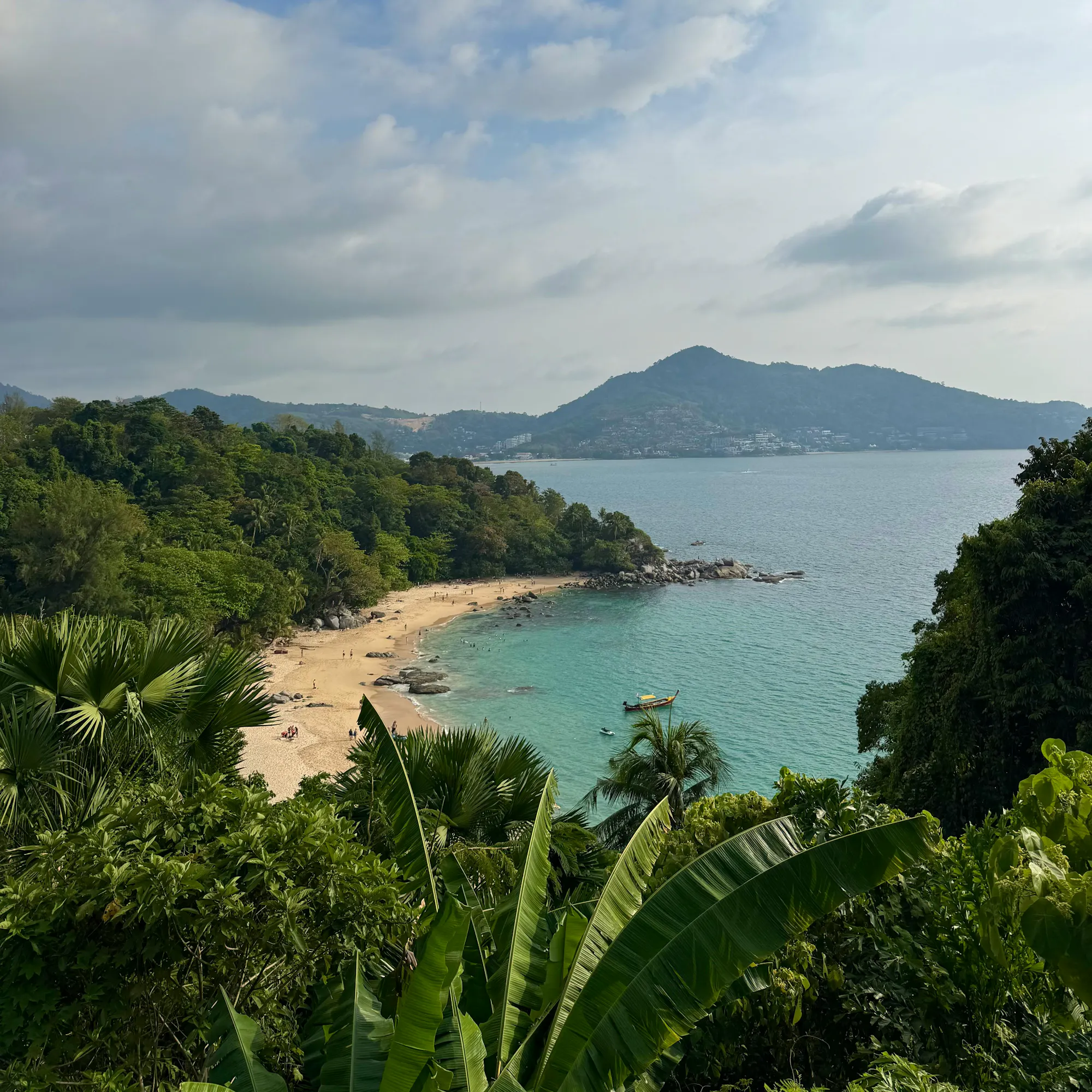 A sweeping bay with a sandy beach and tree-covered headland is seen from an elevated viewpoint.