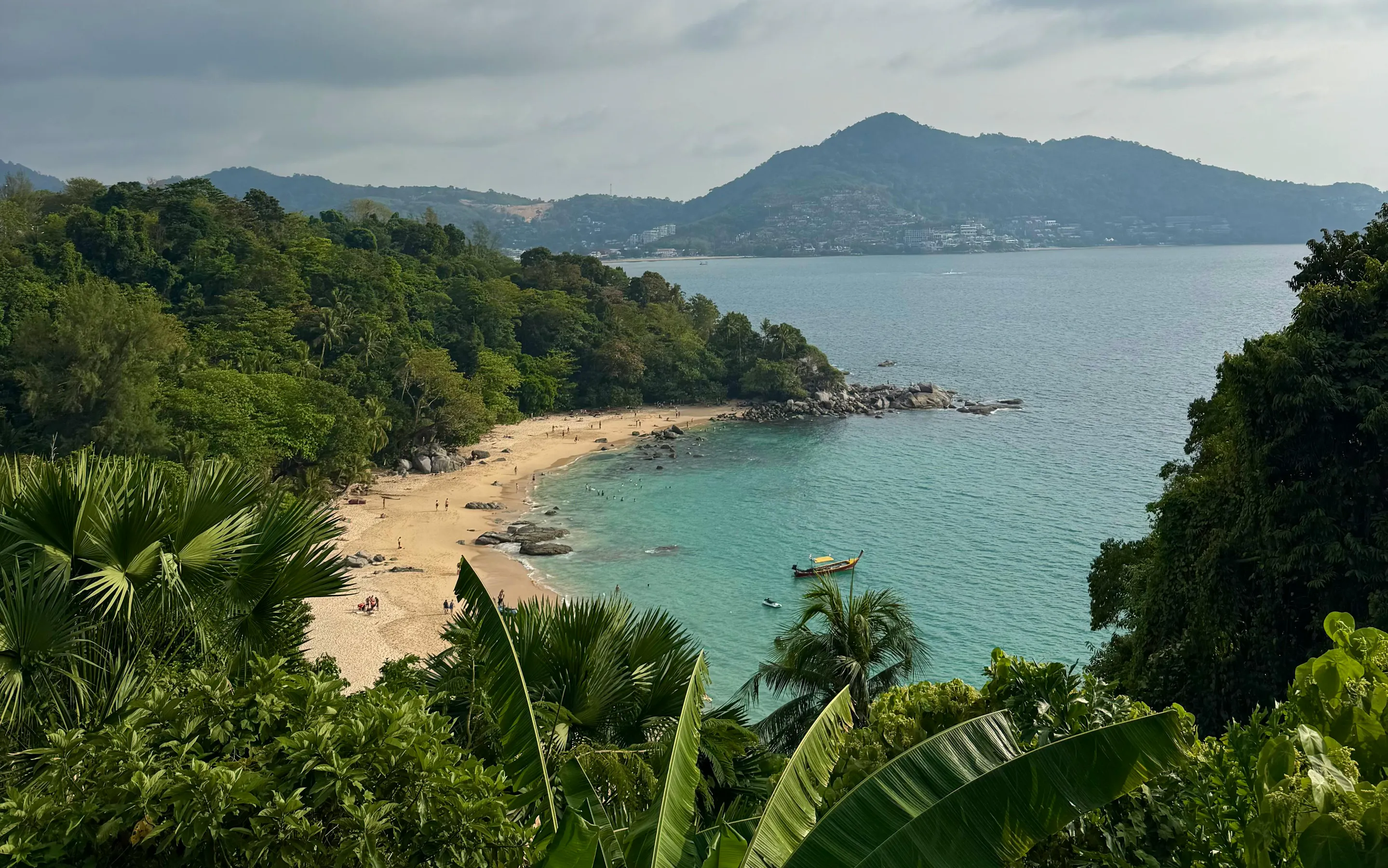 A sweeping bay with a sandy beach and tree-covered headland is seen from an elevated viewpoint.
