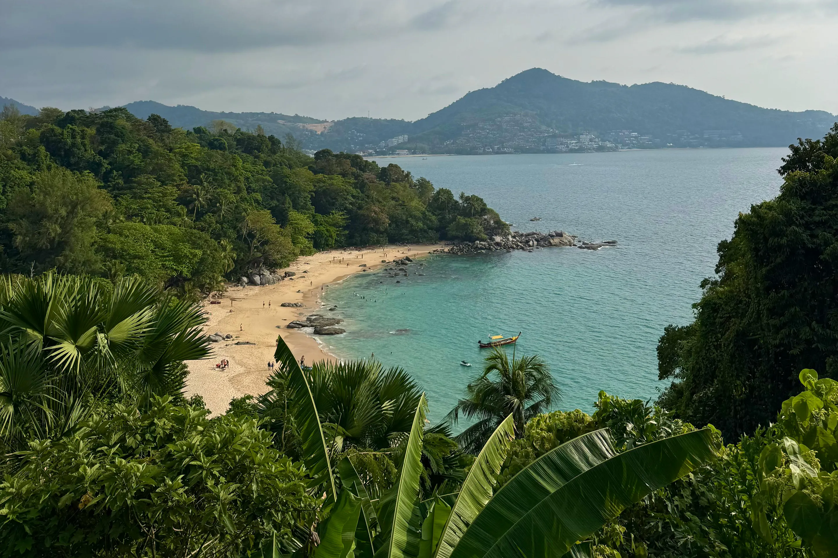 A sweeping bay with a sandy beach and tree-covered headland is seen from an elevated viewpoint.
