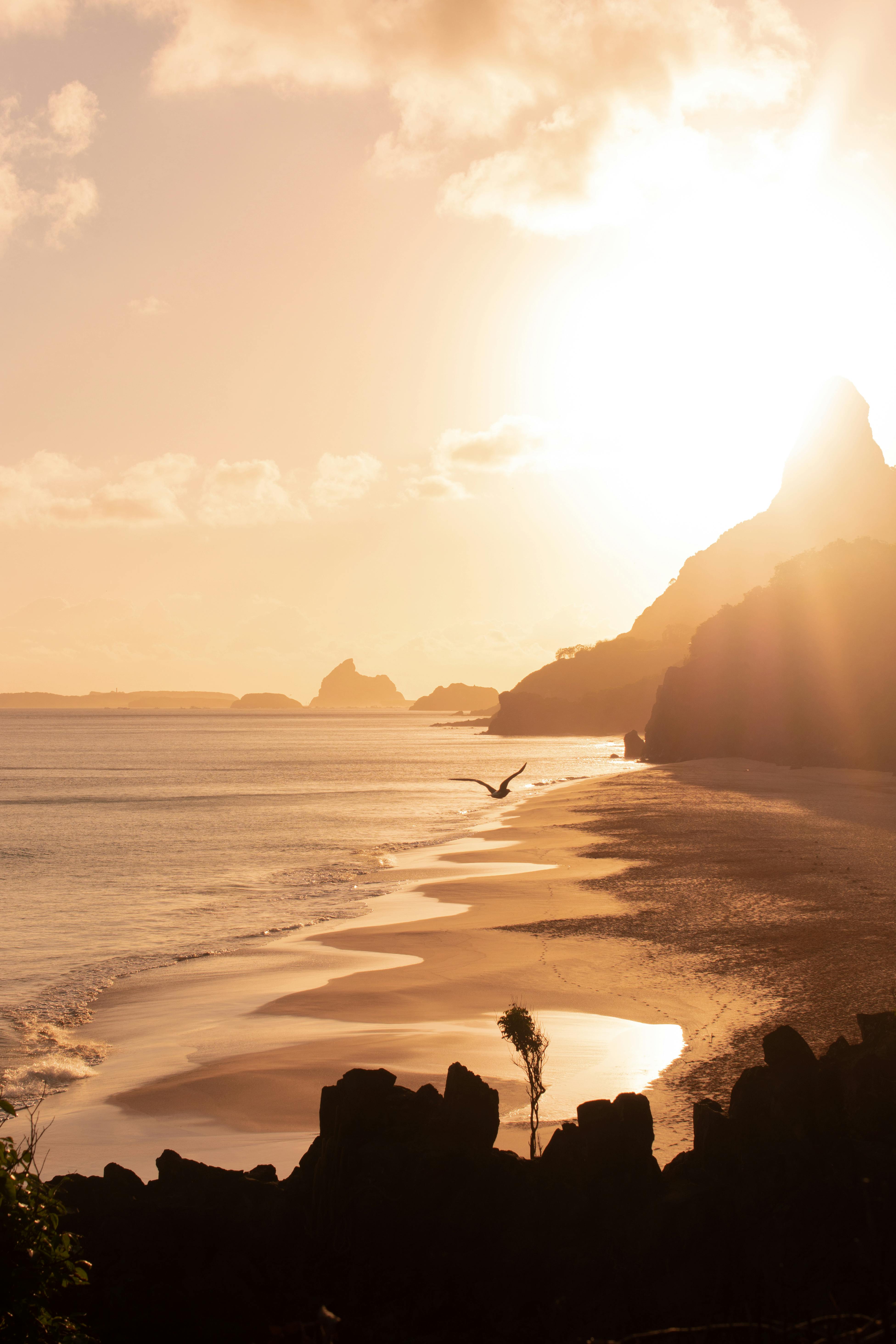 Warm golden light silhouettes a lone figure and rocky outcrops on a sandy beach at sunset.