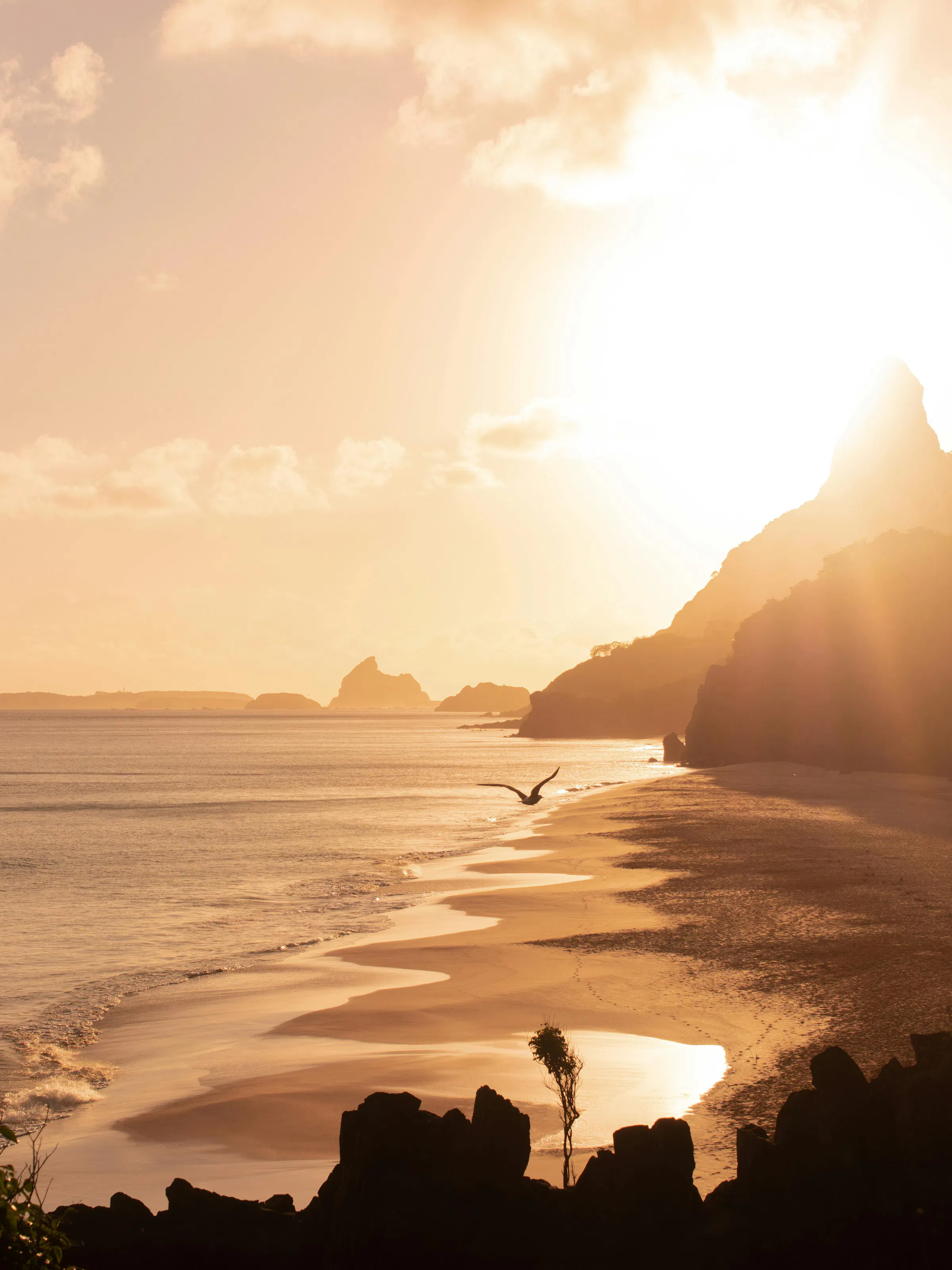 Warm golden light silhouettes a lone figure and rocky outcrops on a sandy beach at sunset.