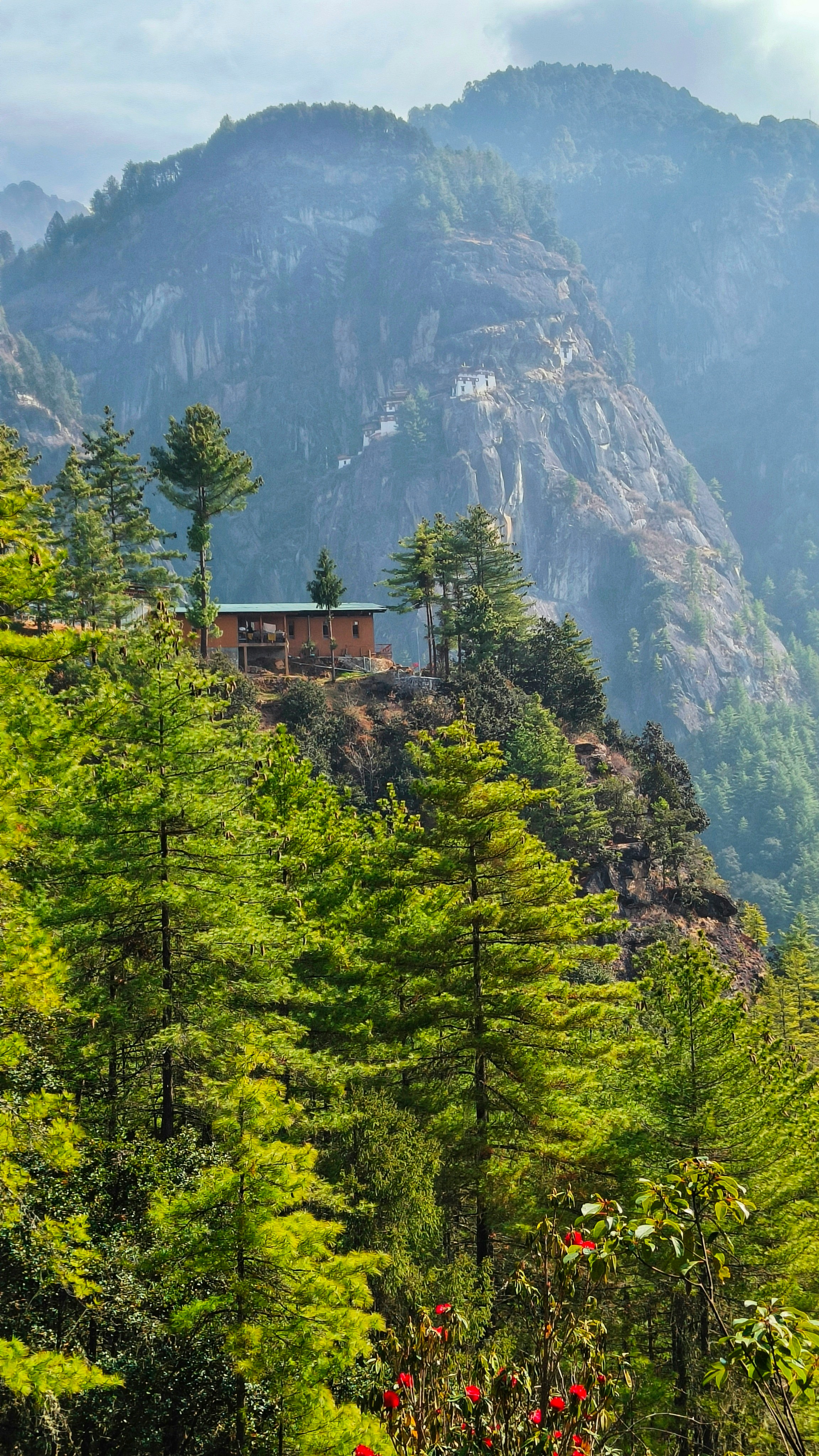 A narrow river valley in Bhutan with wooded mountains and low cloud mist filling the gorge.
