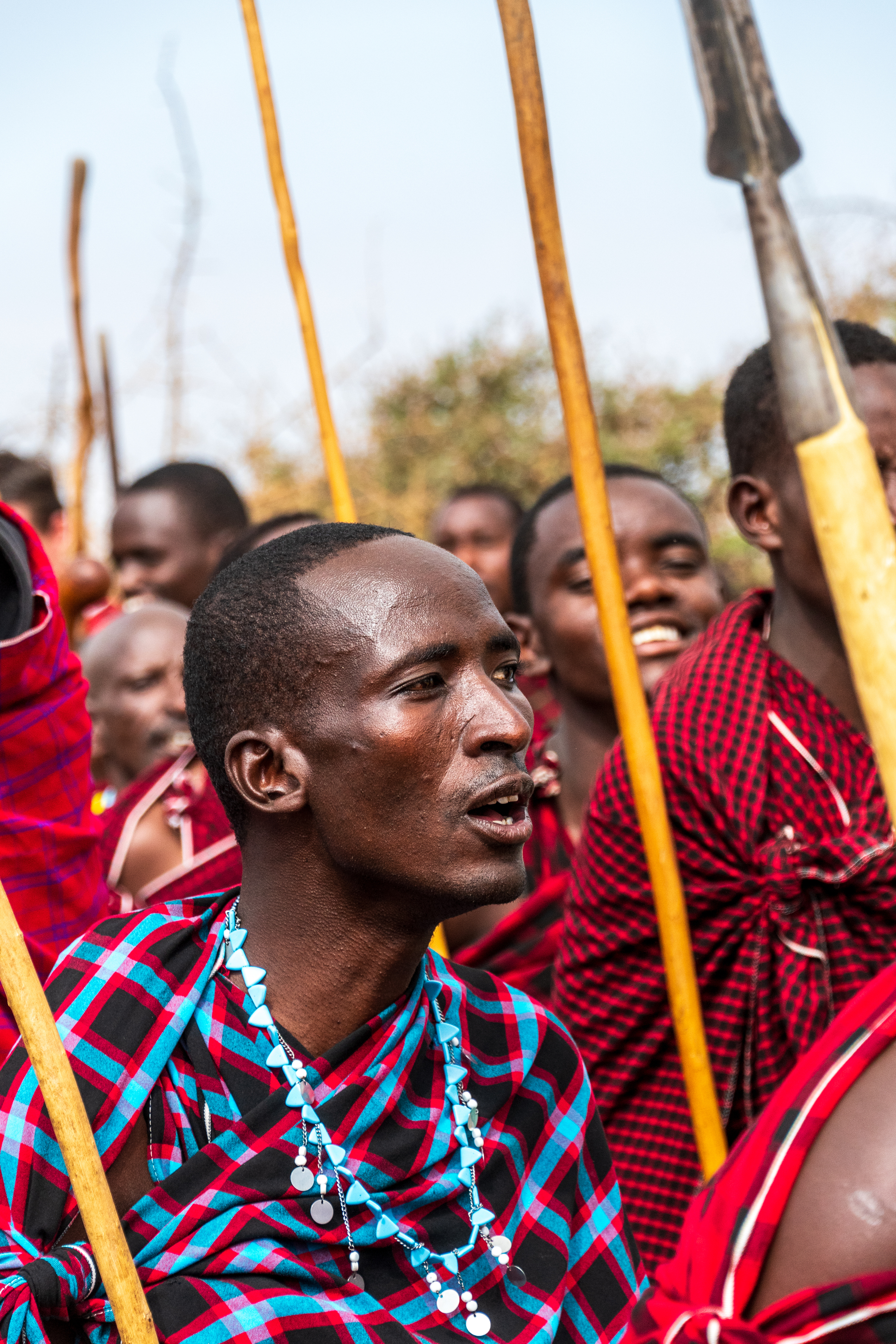 Maasai warriors in red shukas and beaded jewelry gather in a group in Tanzania.