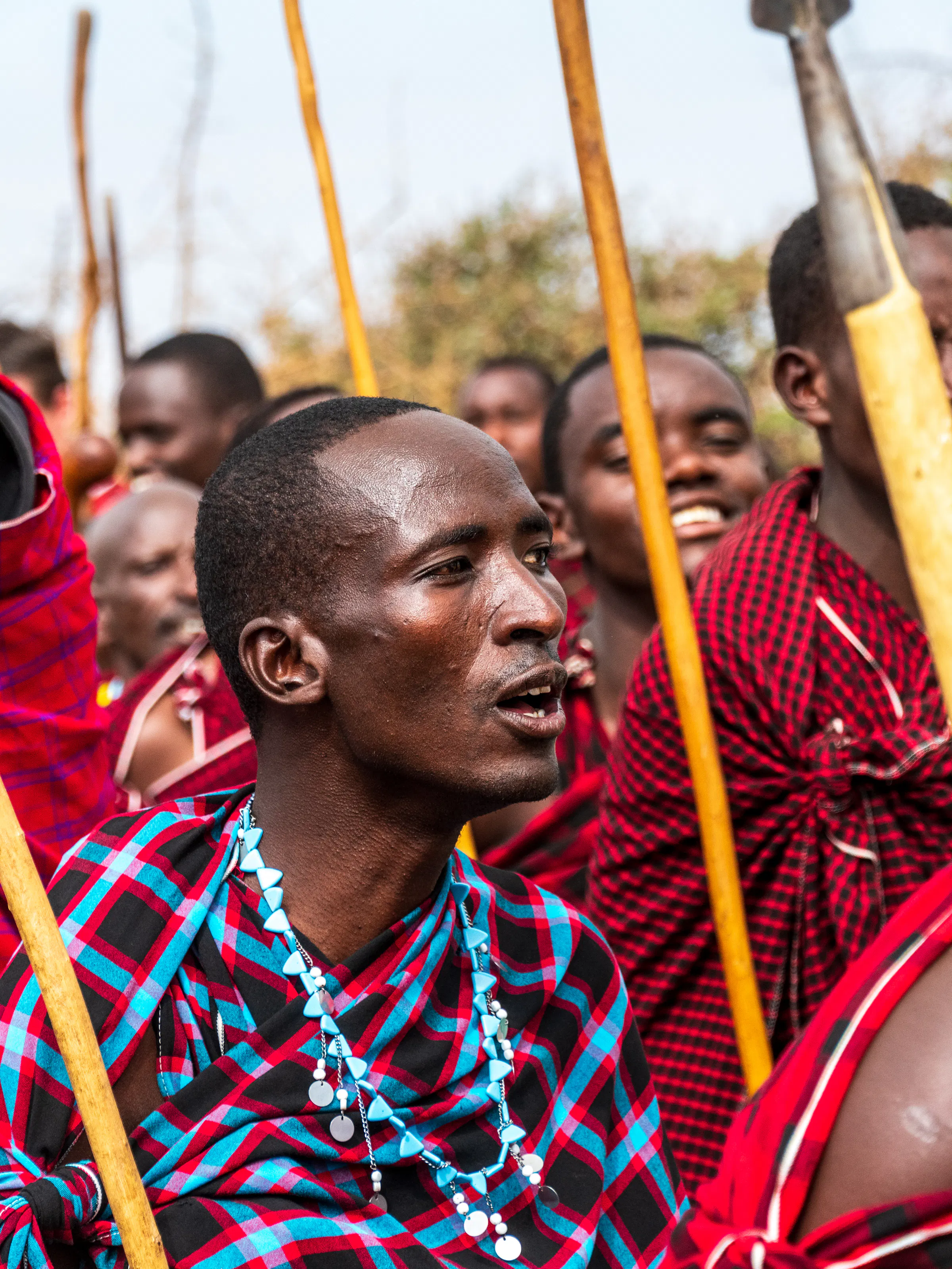 Maasai warriors in red shukas and beaded jewelry gather in a group in Tanzania.