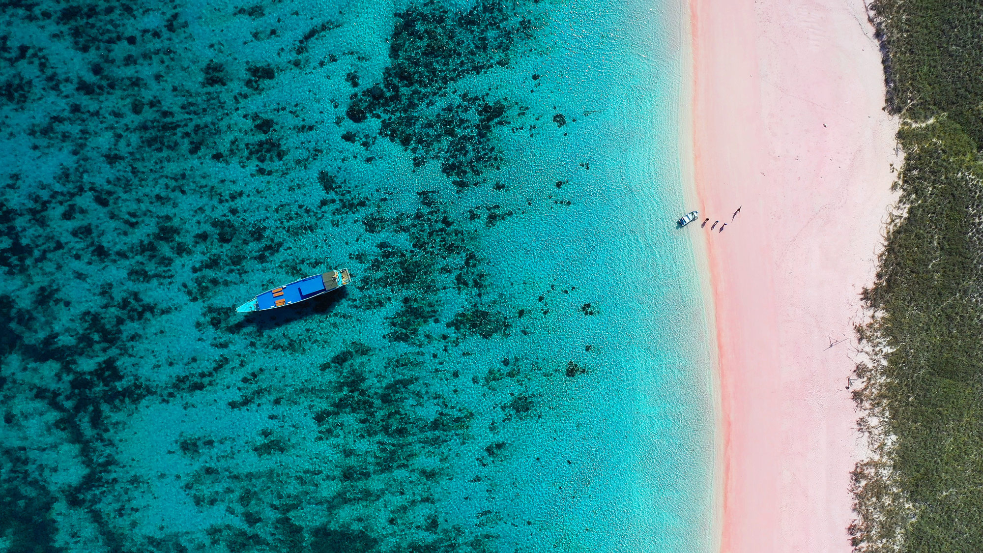 An aerial shot of a pink sand beach on Komodo Island.